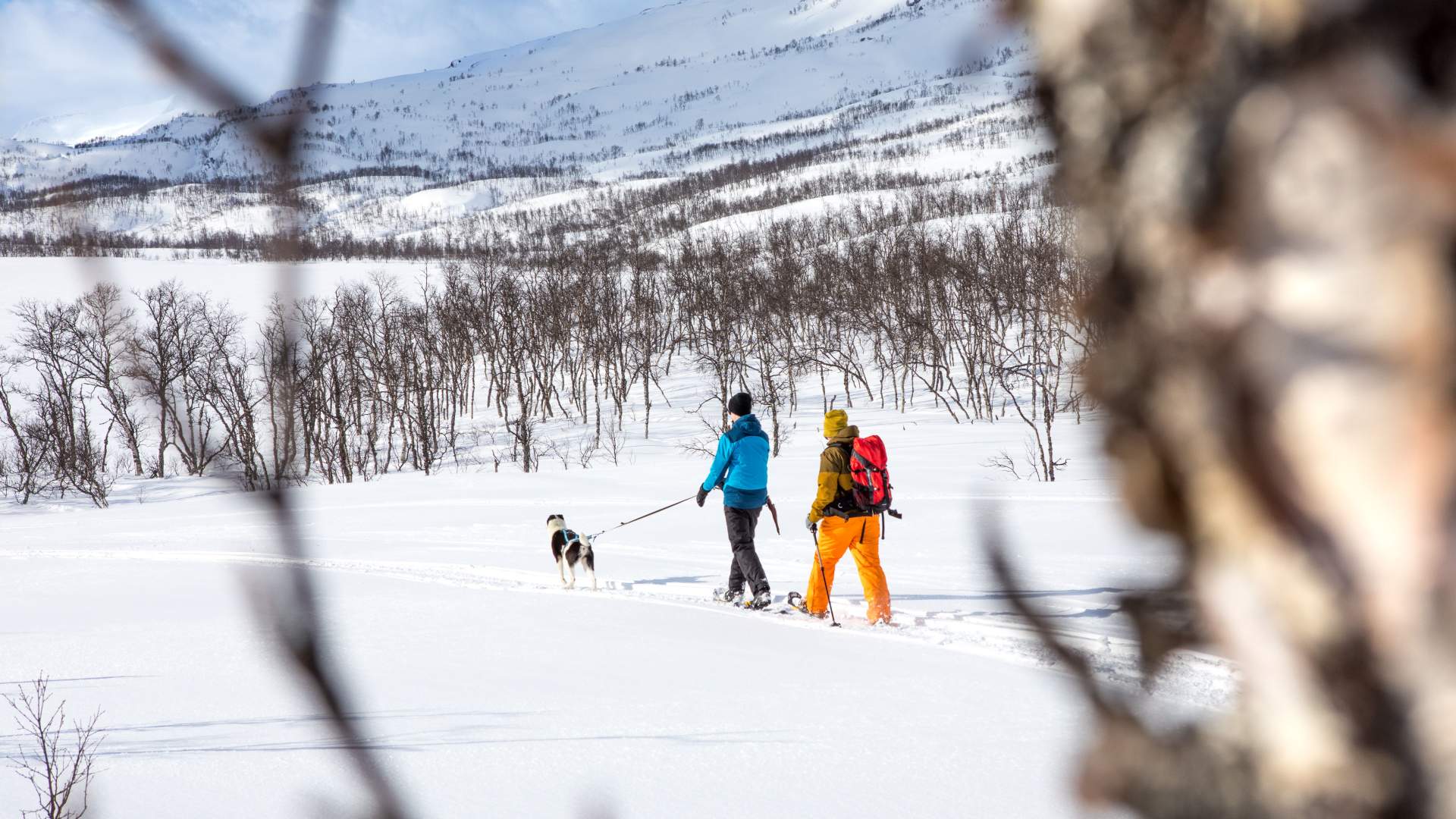 Lapphaugen Touriststation Campsite