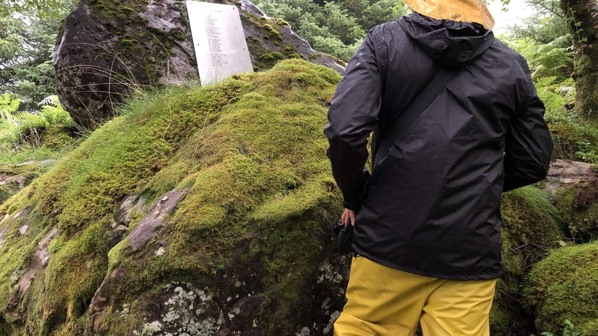 Diktarstien i Botnane