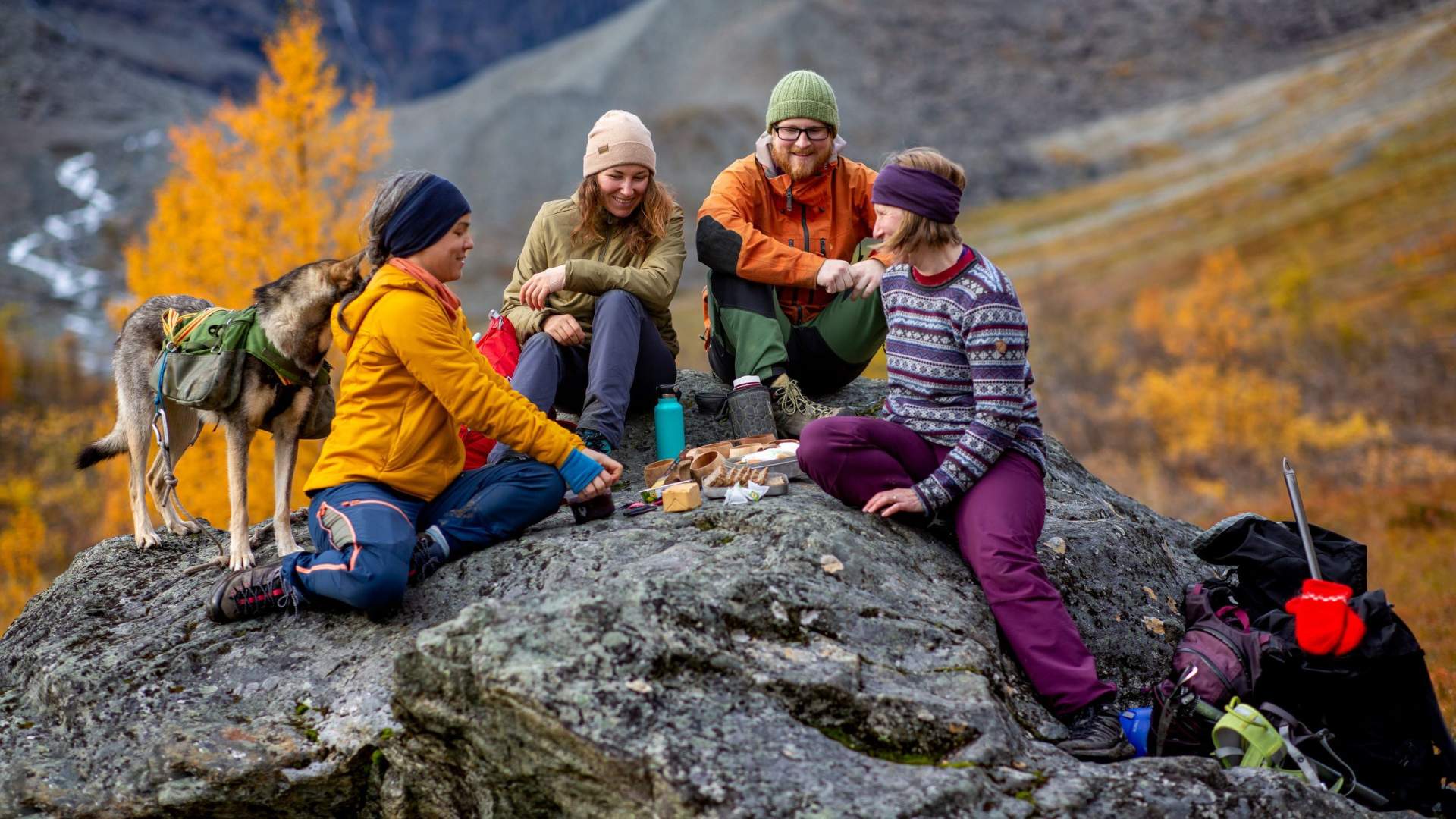 Tur til Steindalen med brevandring på Steindalsbreen - Lyngen Outdoor Experiences