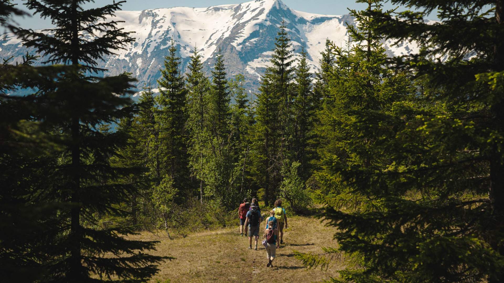 Sverrestigen med Wild Voss