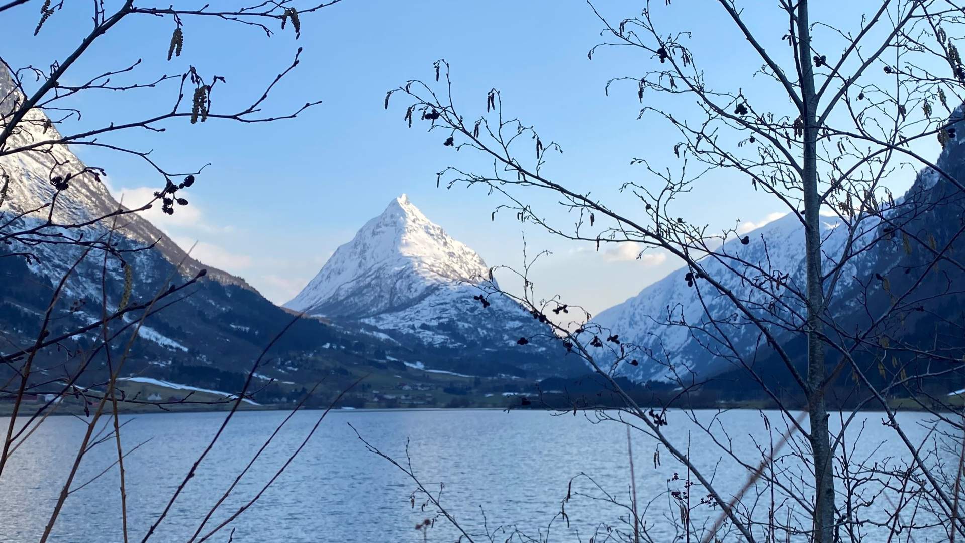 Nordfjord Guiding