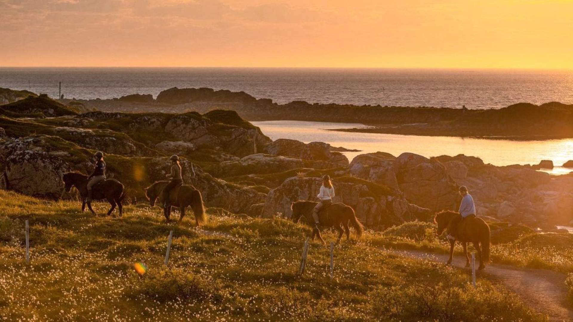 Lofoten: Midnight tour to Gimsøya