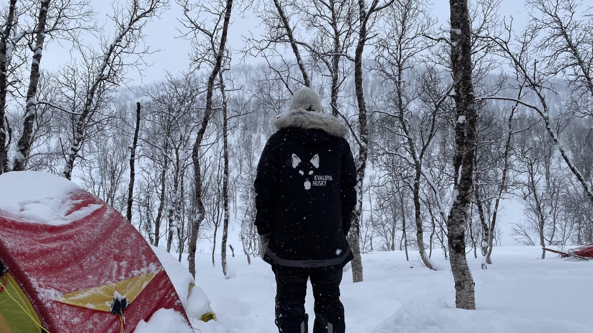 2-days of dogsledding