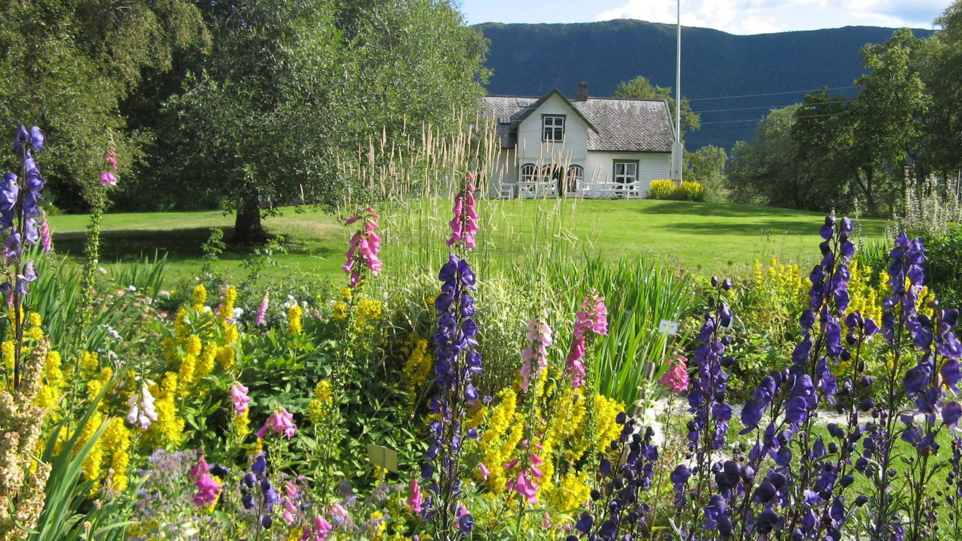 The old doctor's farm Breidablikk
