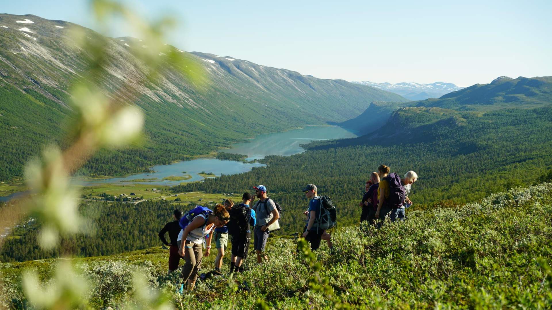 Sota Sæter