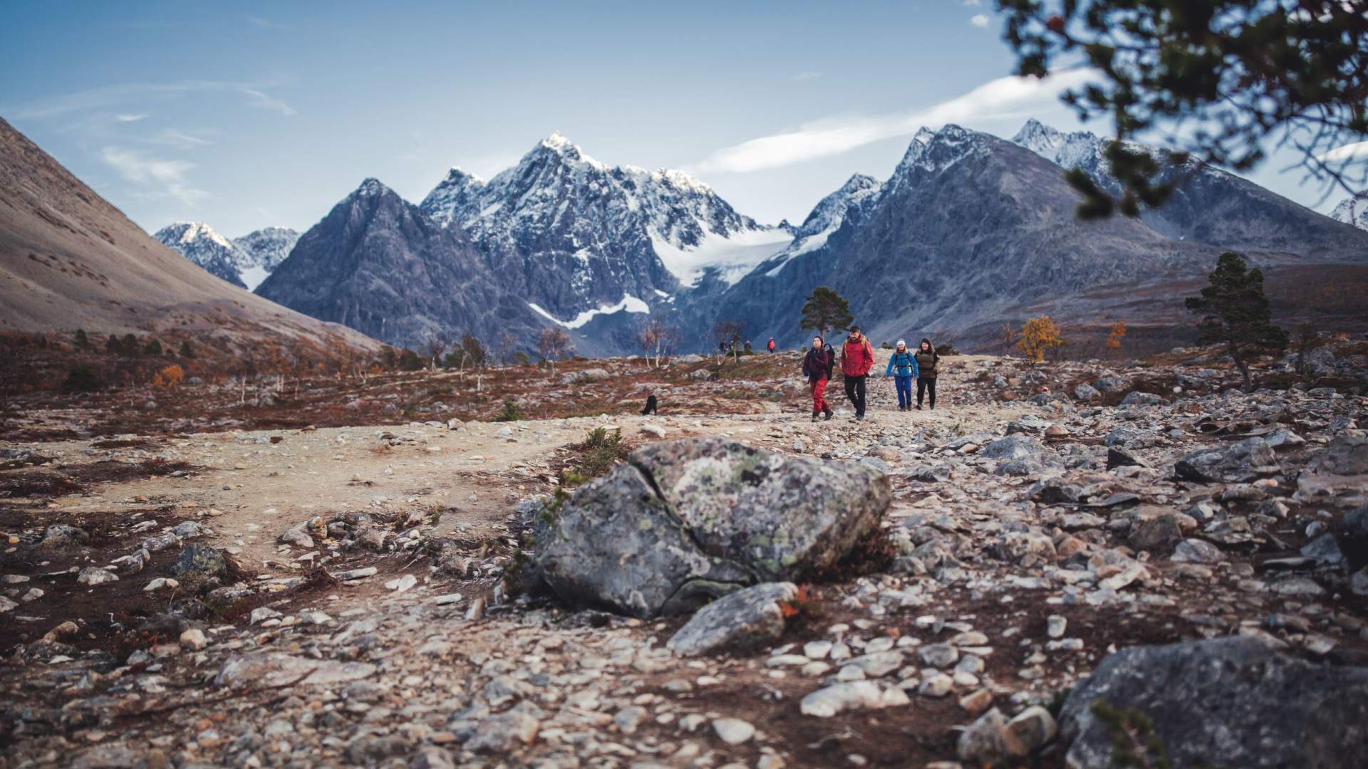 Husky hike in Tamok valley