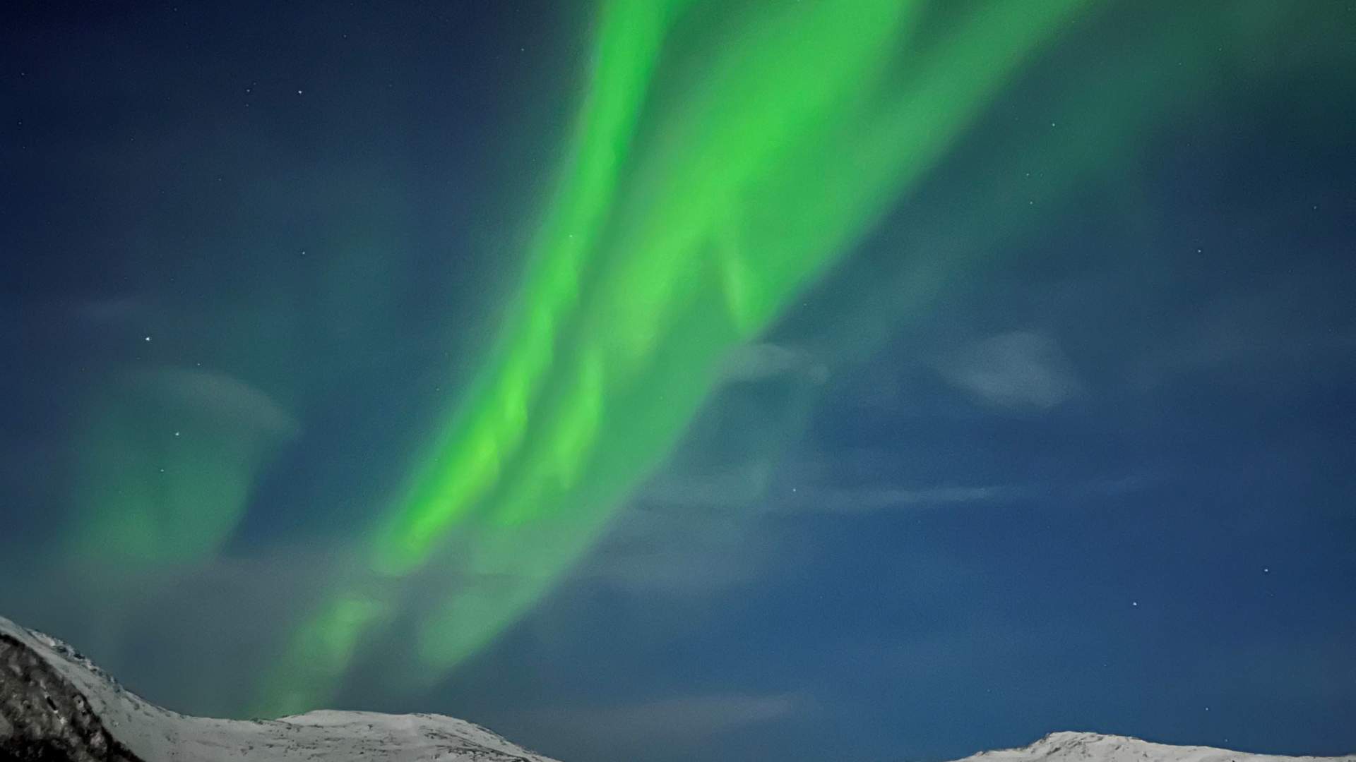 Vengsøy Rorbuer