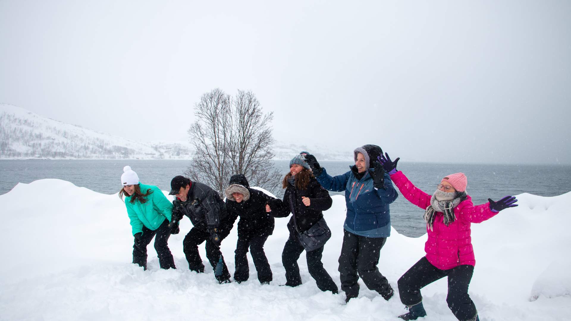 Sommarøy Arctic day trip- a round tour of Kvaløya island