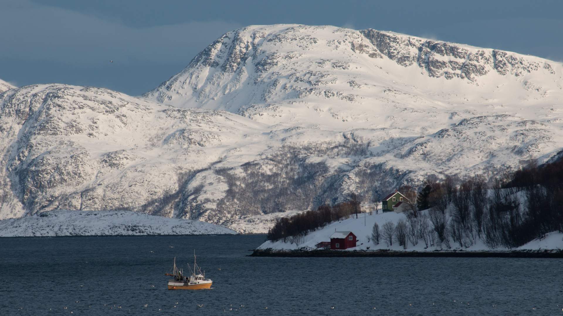 Sommarøy Arctic day trip- a round tour of Kvaløya island