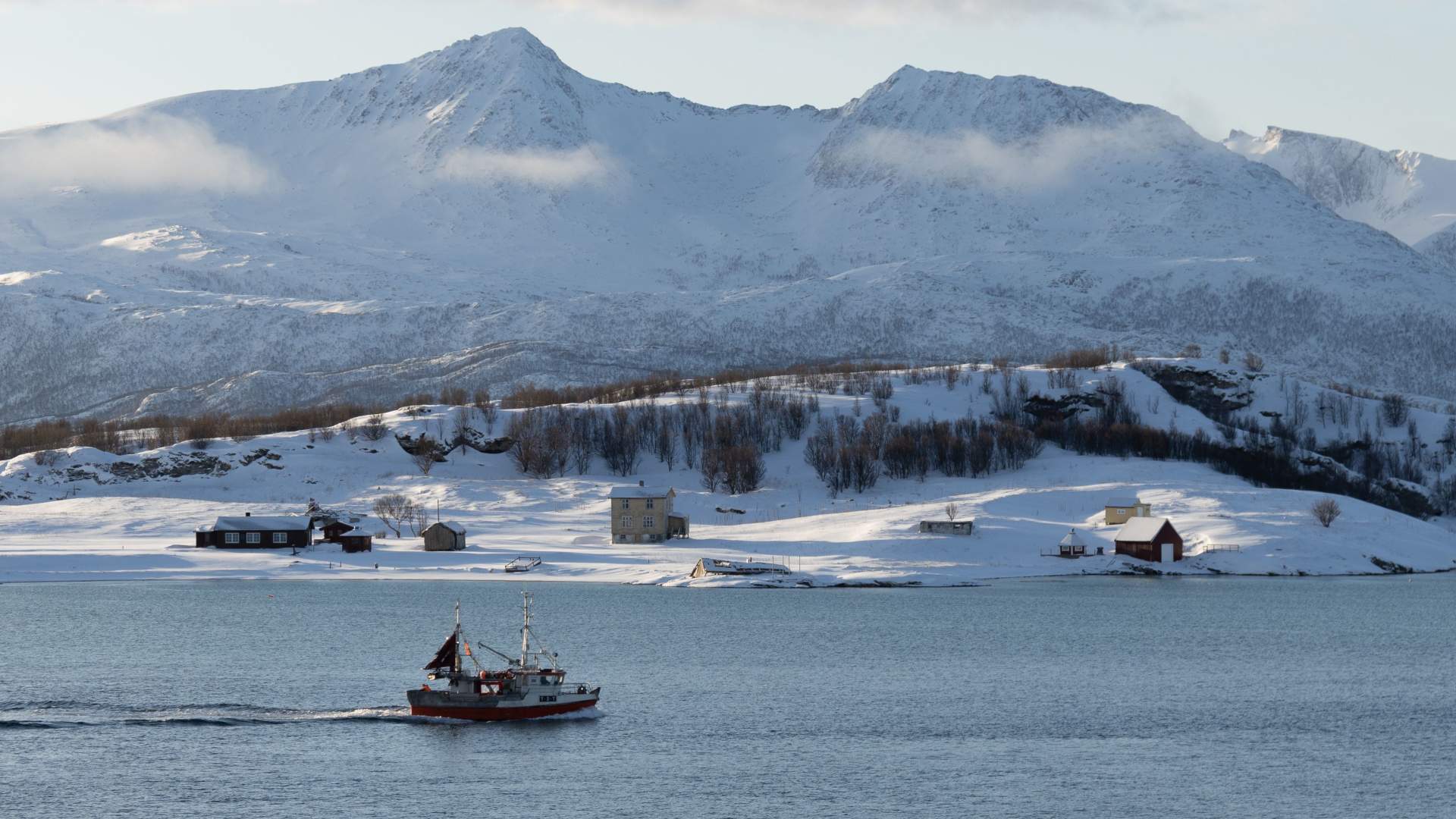 Sommarøy Arctic day trip- a round tour of Kvaløya island