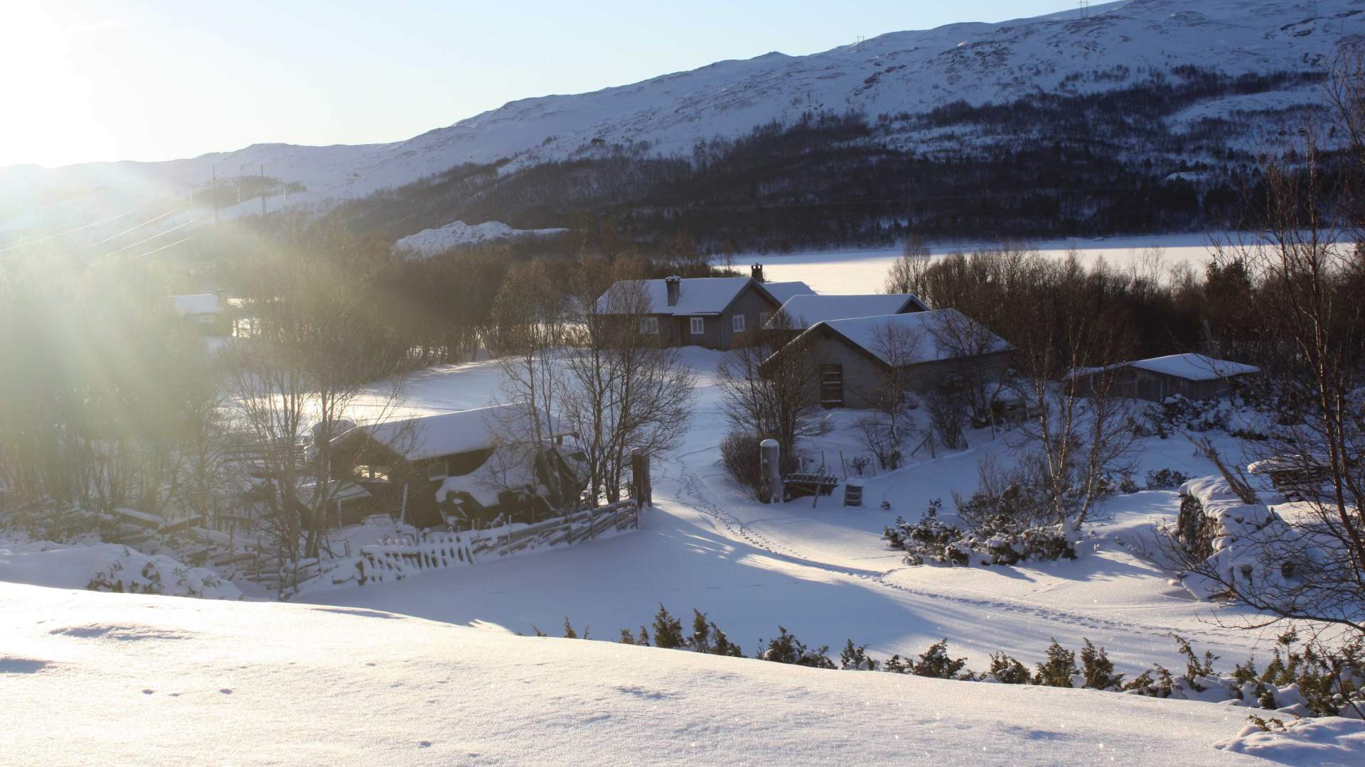 Sjongsvangen