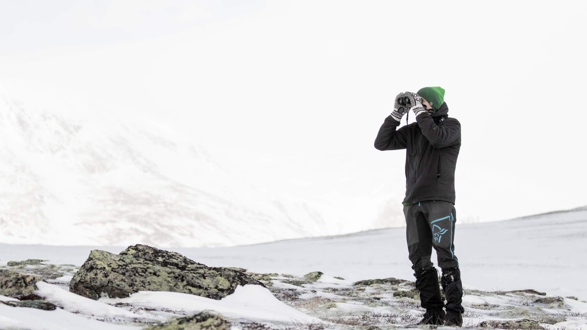 Muskox Safari Winter | Dovre og Lesja Aktiv