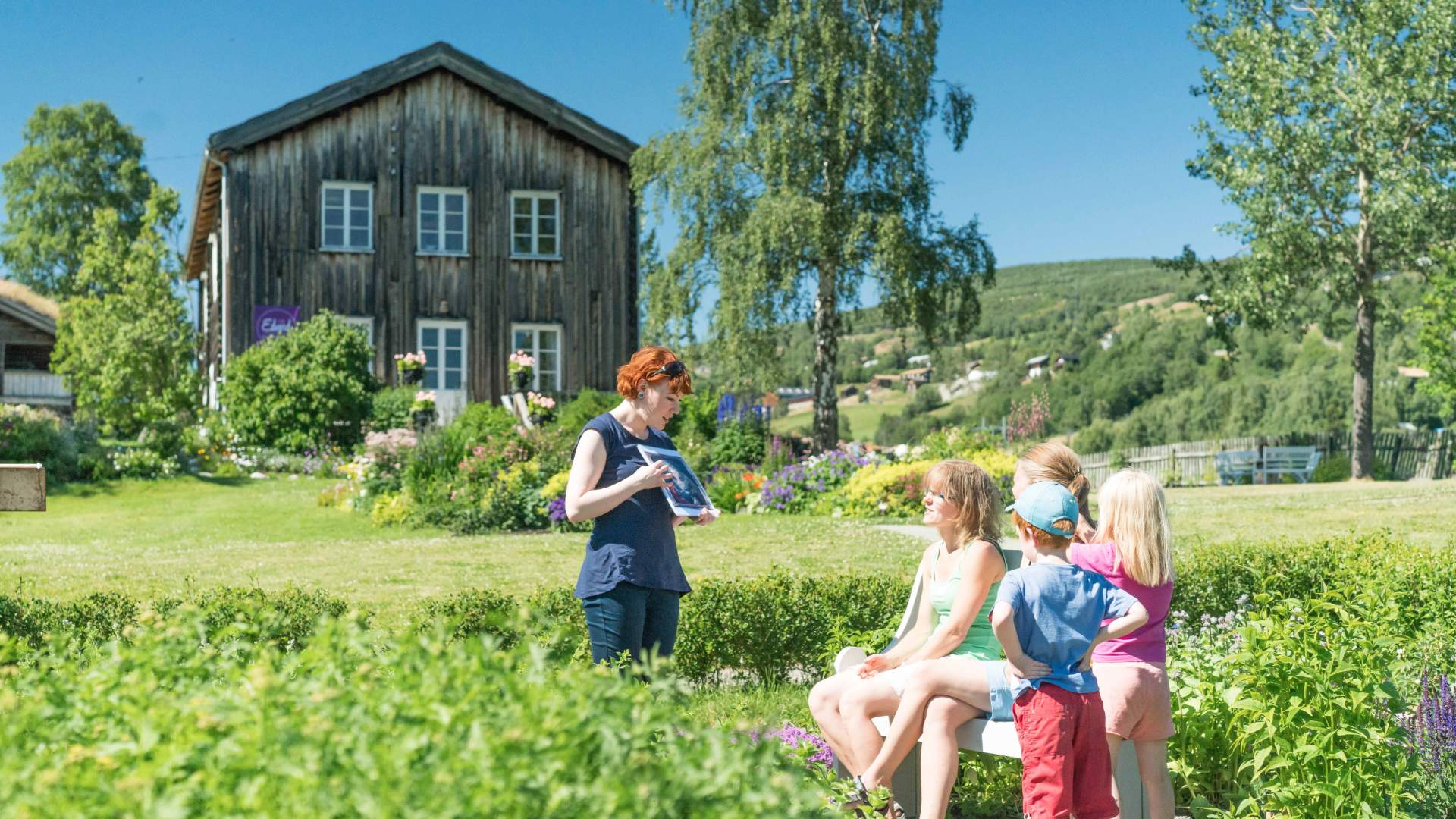 Ullinsvin