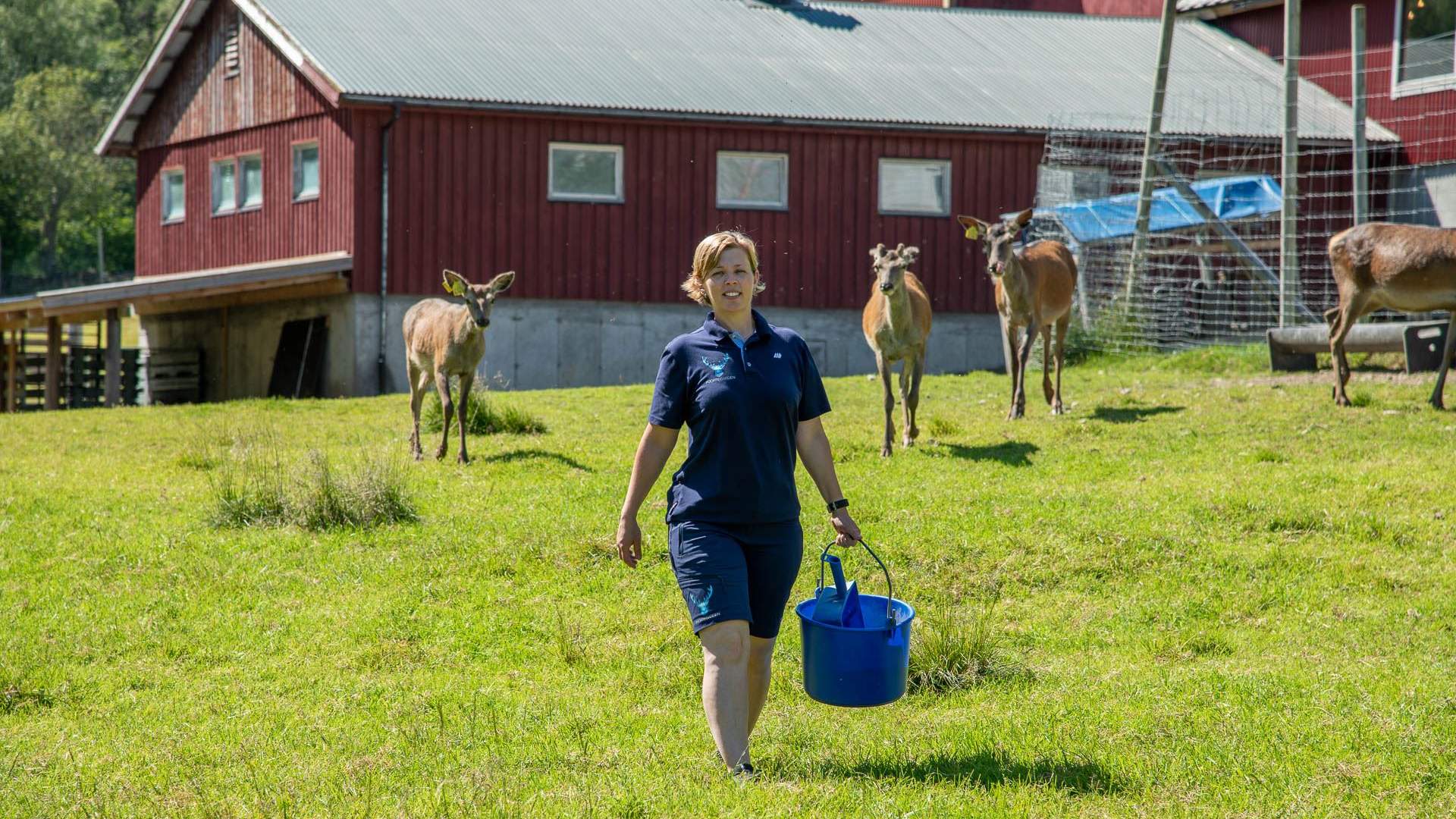 Hjortegarden i Ålfoten