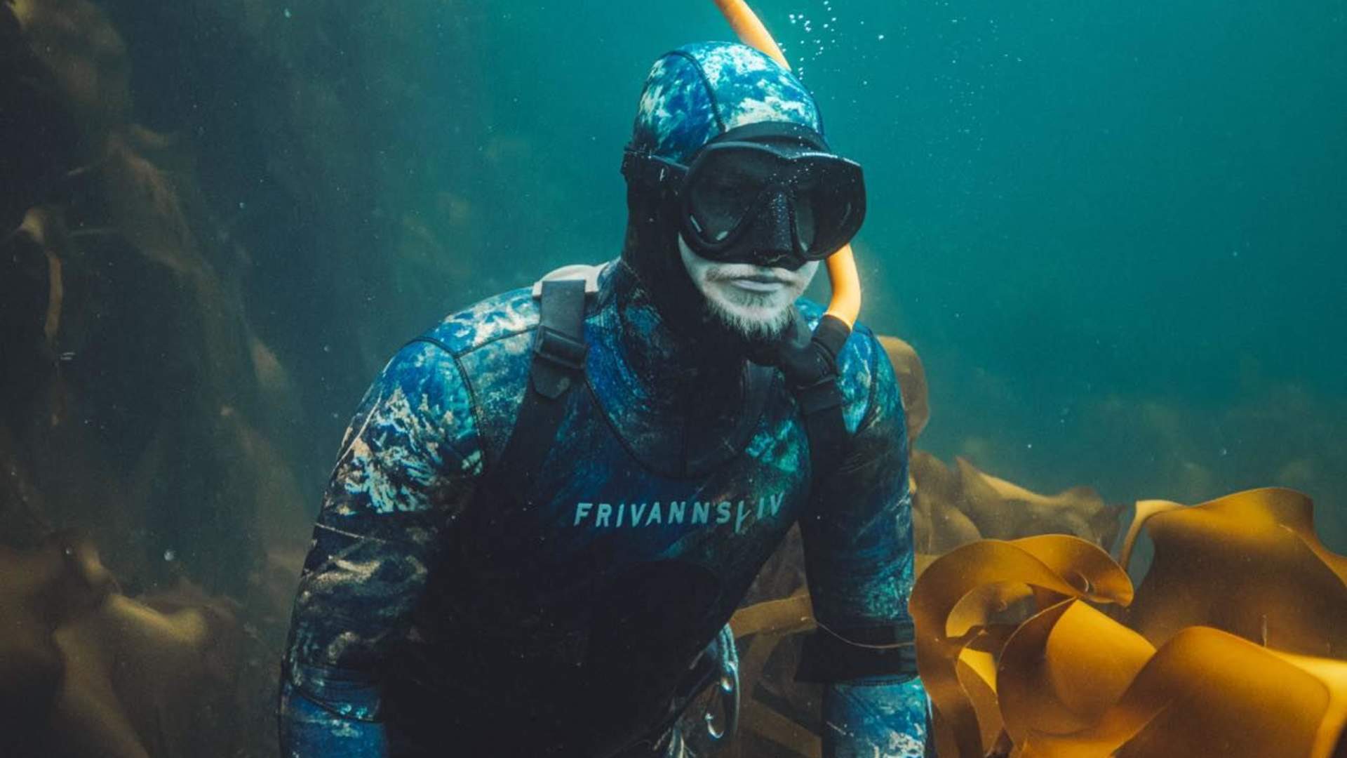 Diving in Nordfjord