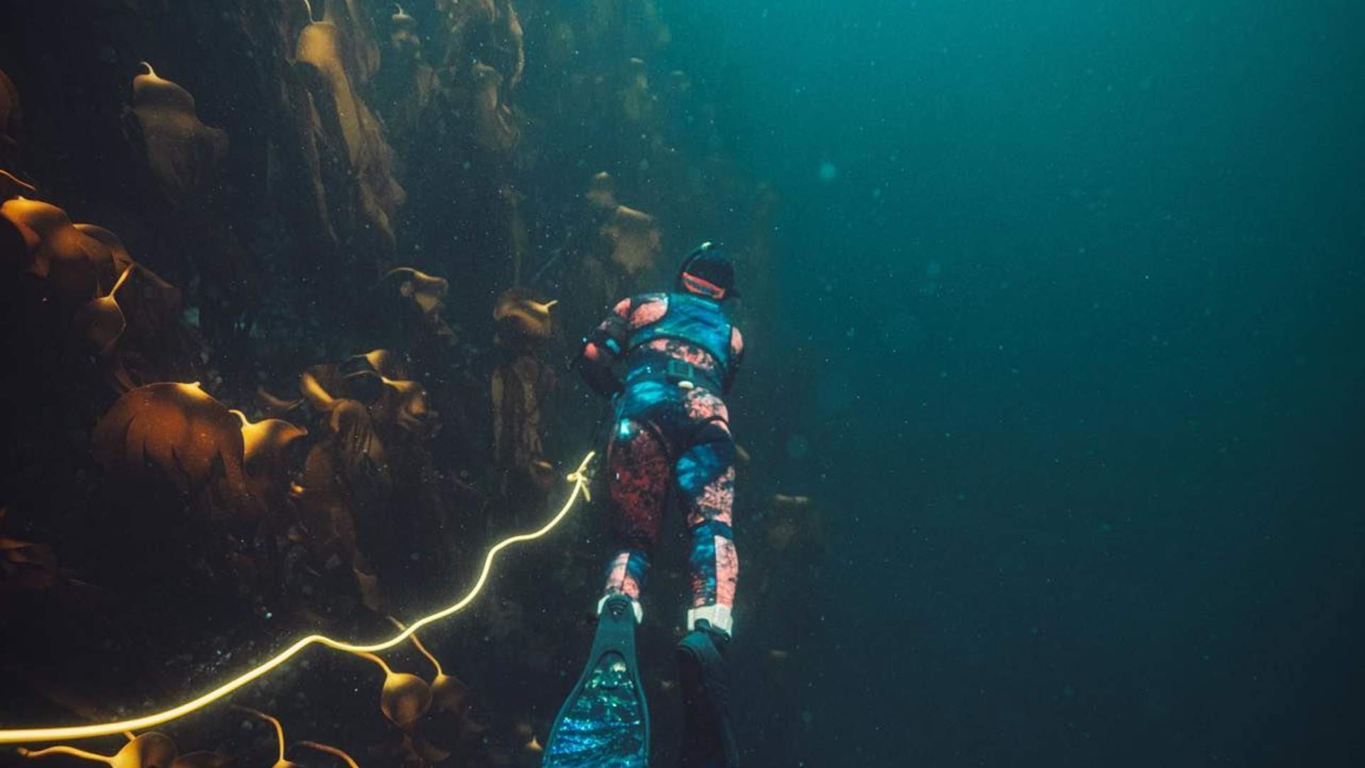 Diving in Nordfjord