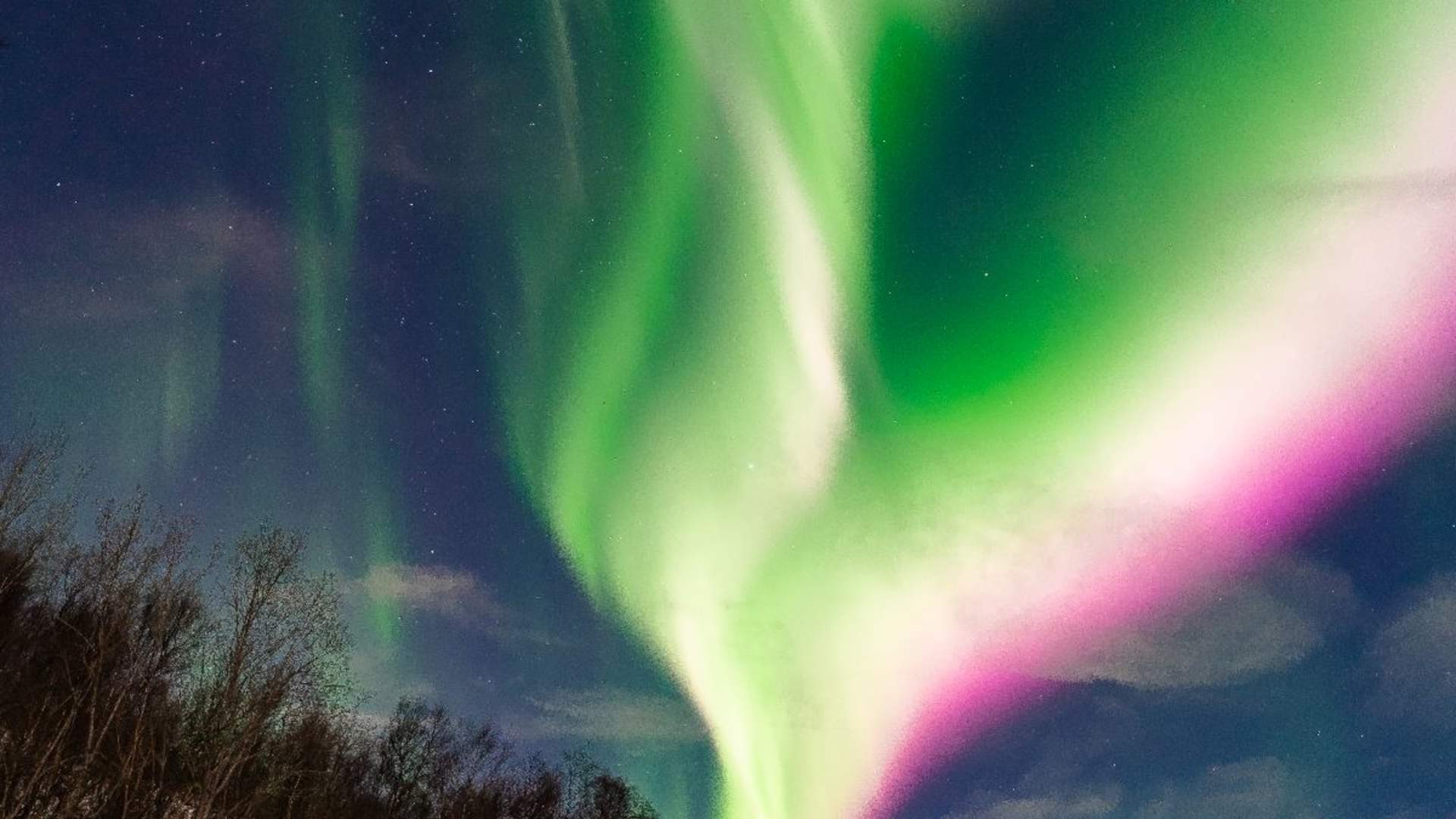 Authentic Northern Lights Evening - Small groups
