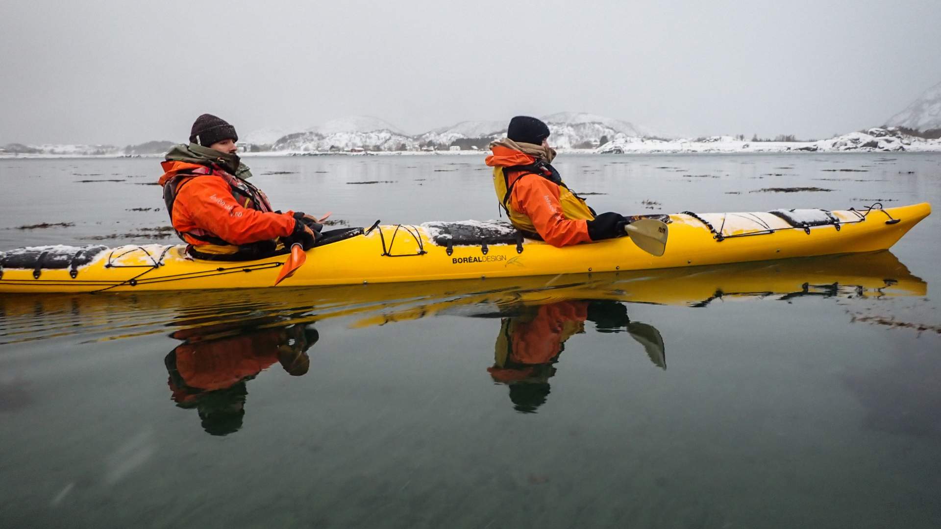 Kayak trip- Half day with Lofoten Aktiv