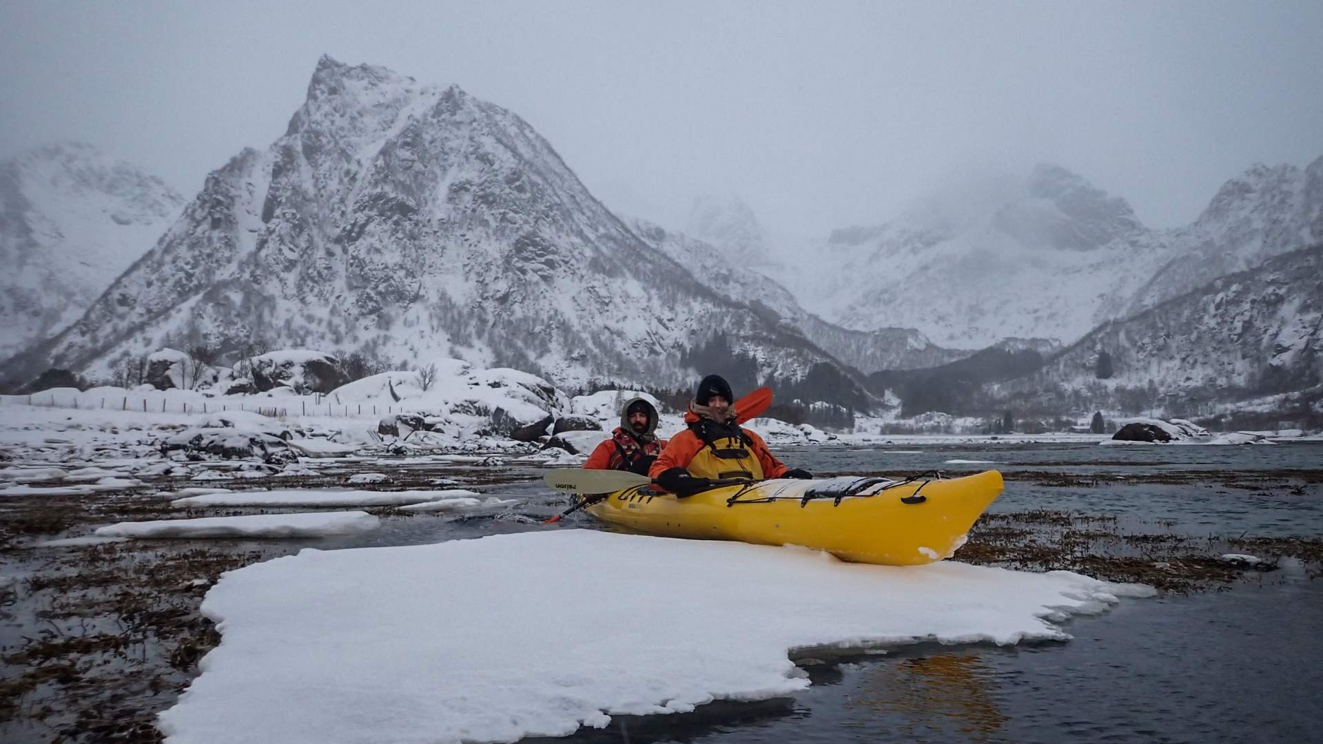 Kayak trip- Half day with Lofoten Aktiv