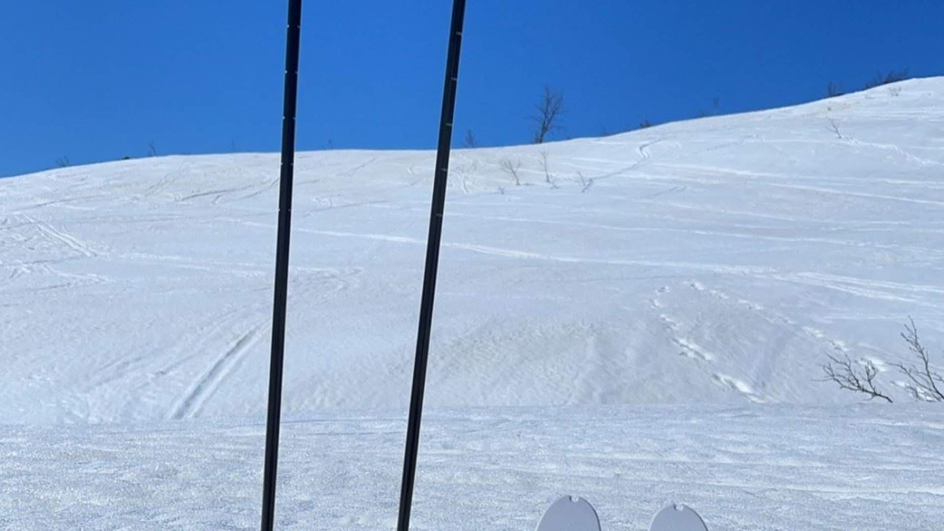 Kårdal Mountain Lodge, Mjølfjell, Voss