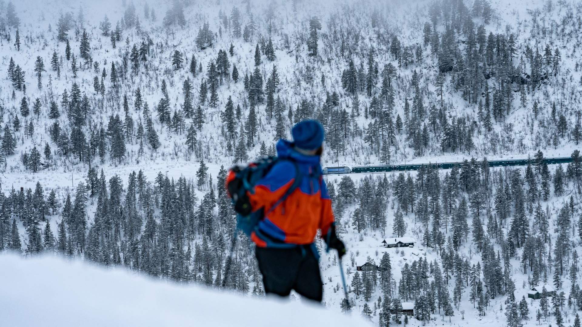 Ski and train, fra fjord til fjell