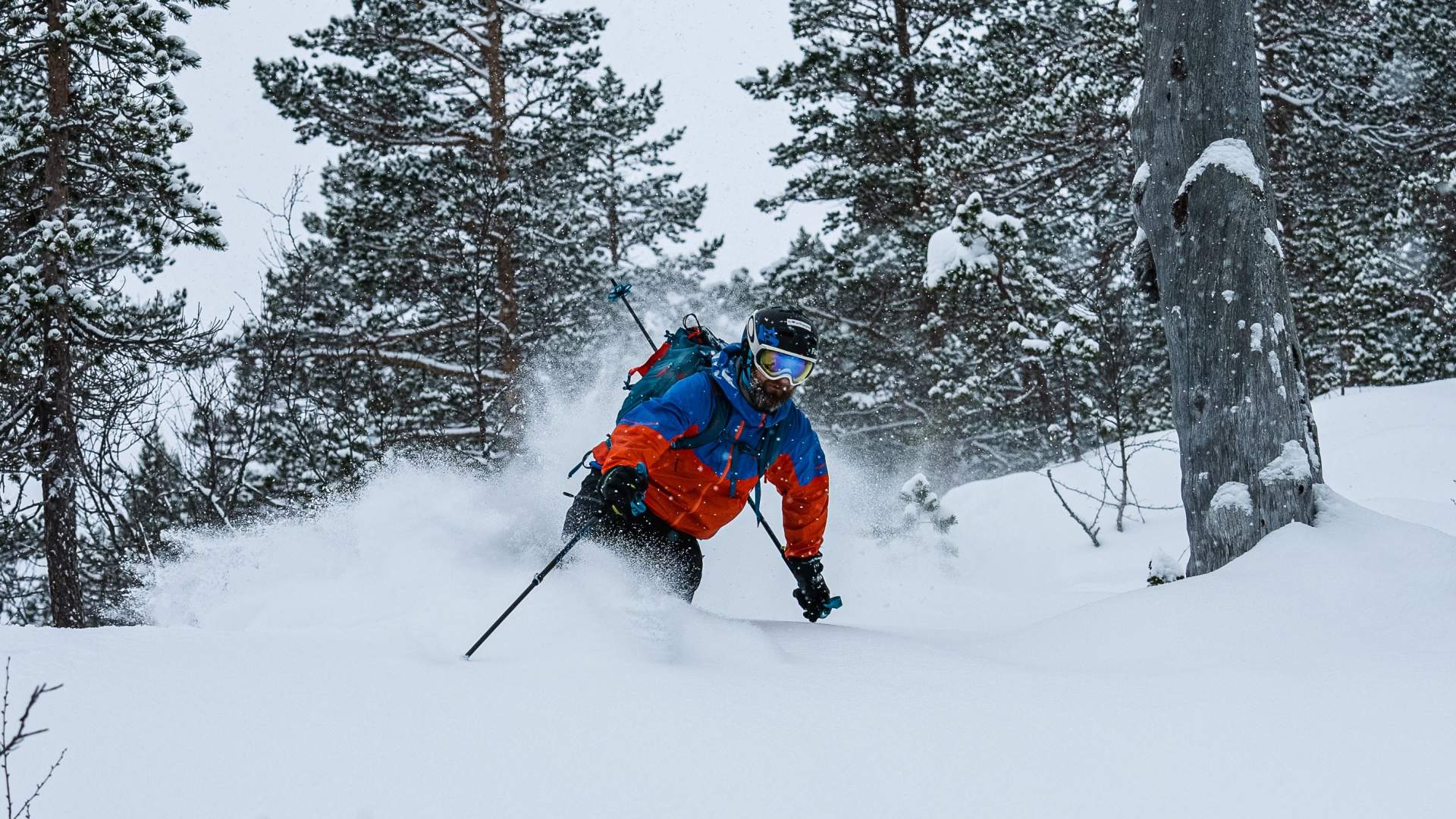 Ski and train, fra fjord til fjell