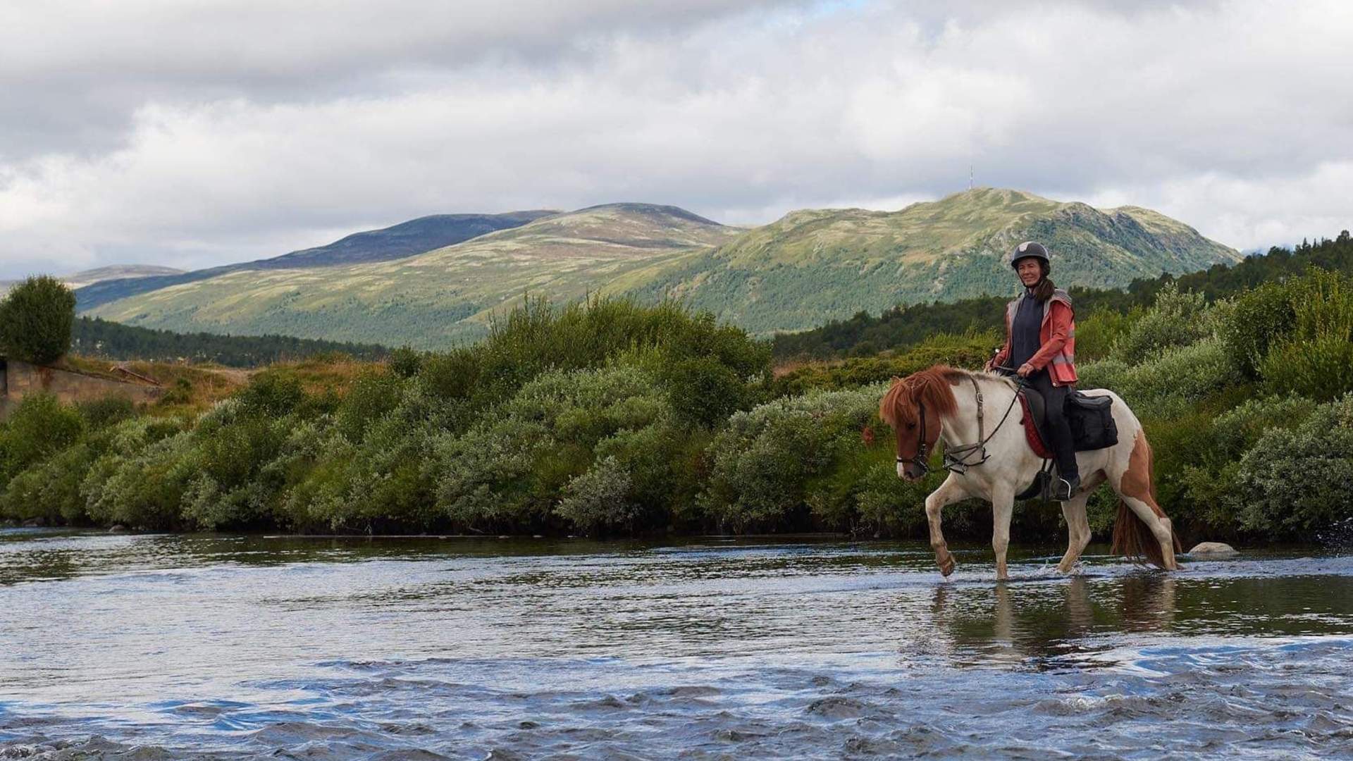 Fjellridning på Dovrefjell