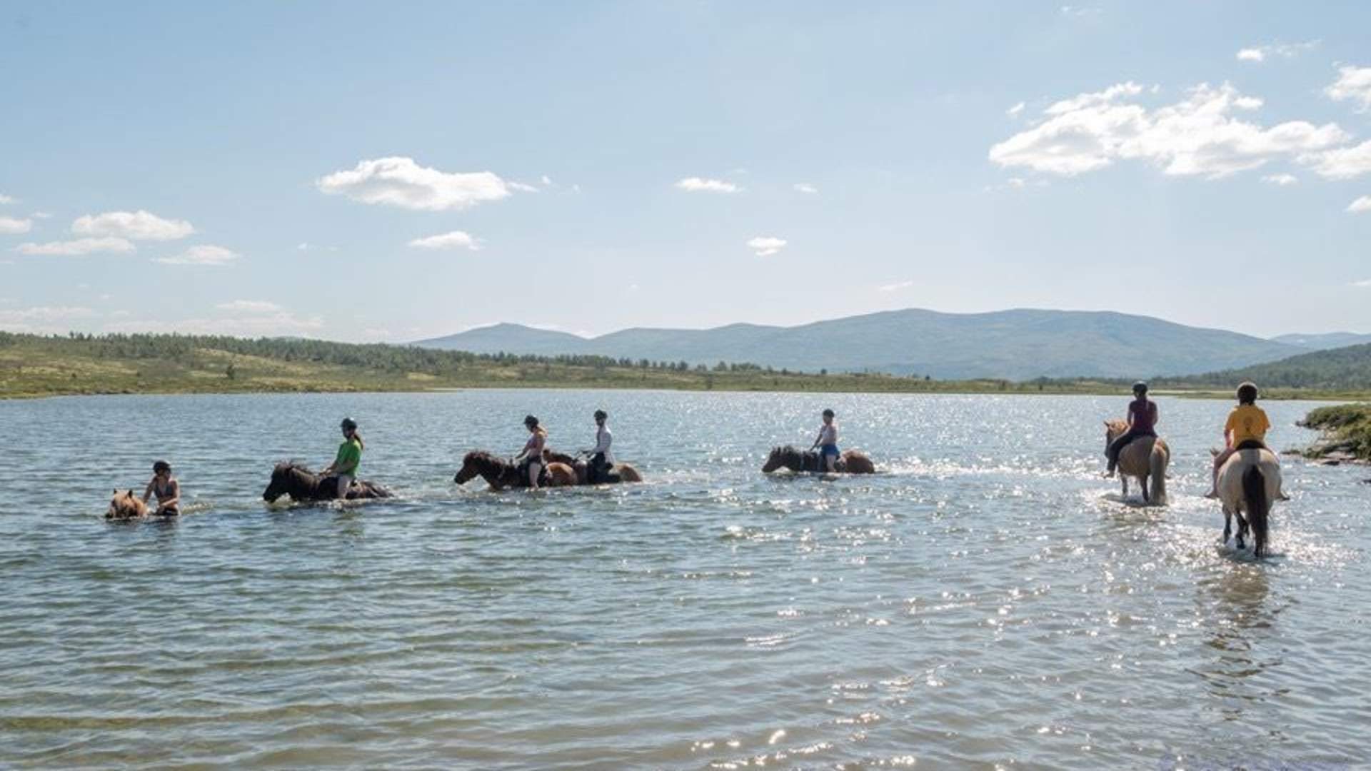 Fjellridning på Dovrefjell