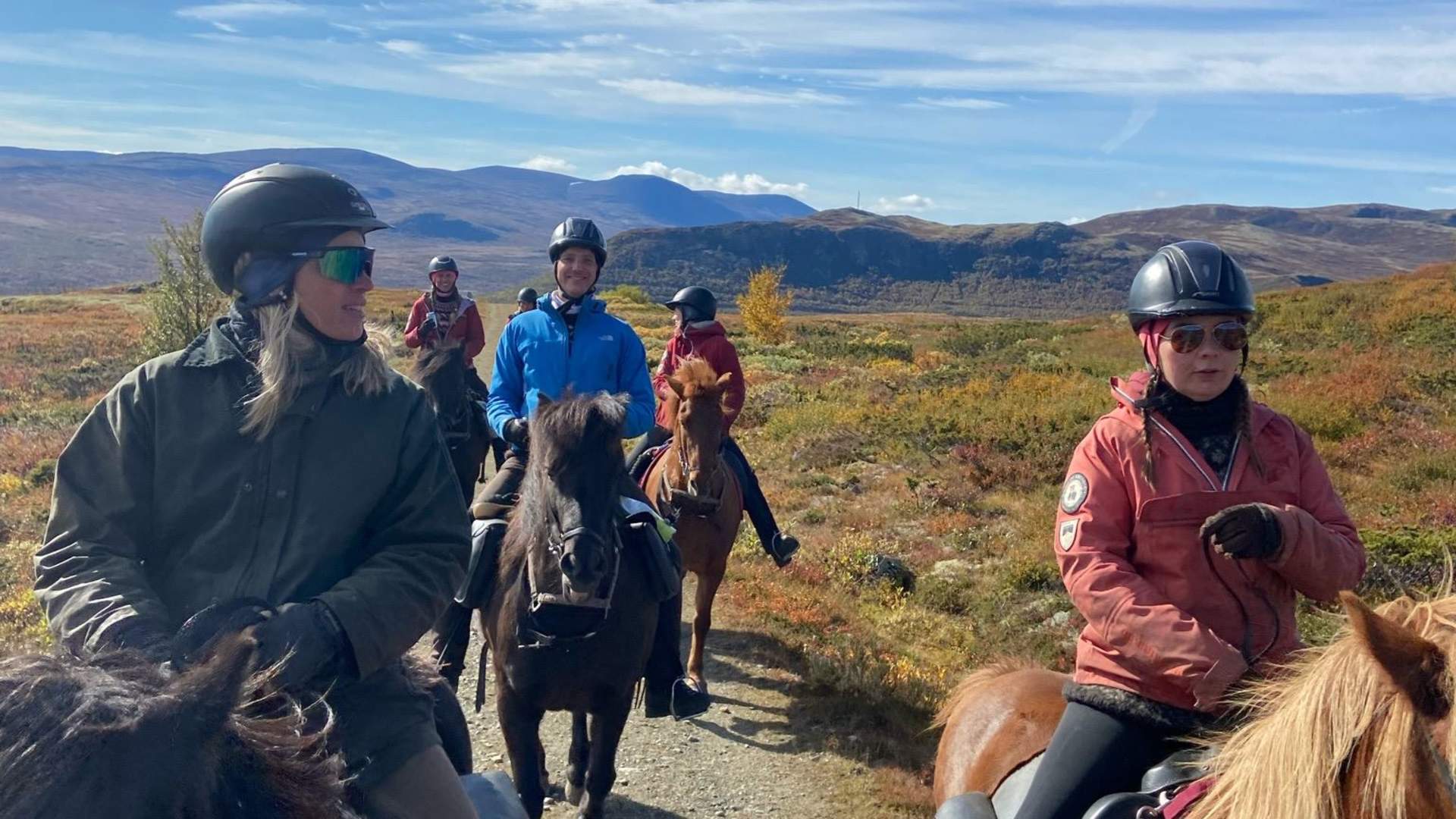 Moskussafari på hesteryggen | Hjerkinn Fjellstue og Fjellridning