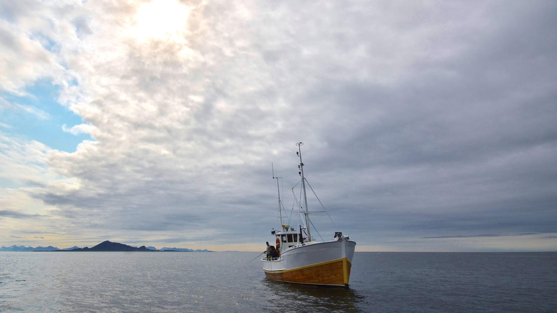 Fishing trip with RIB-Lofoten (copy)