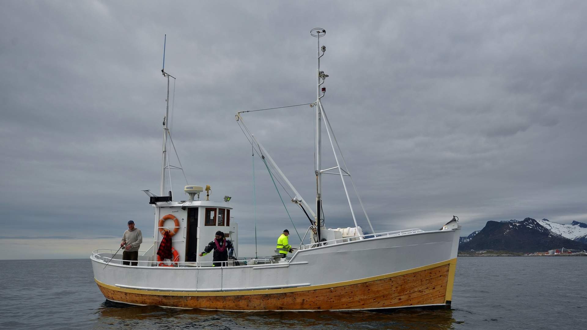 Fishing trip with RIB-Lofoten (copy)