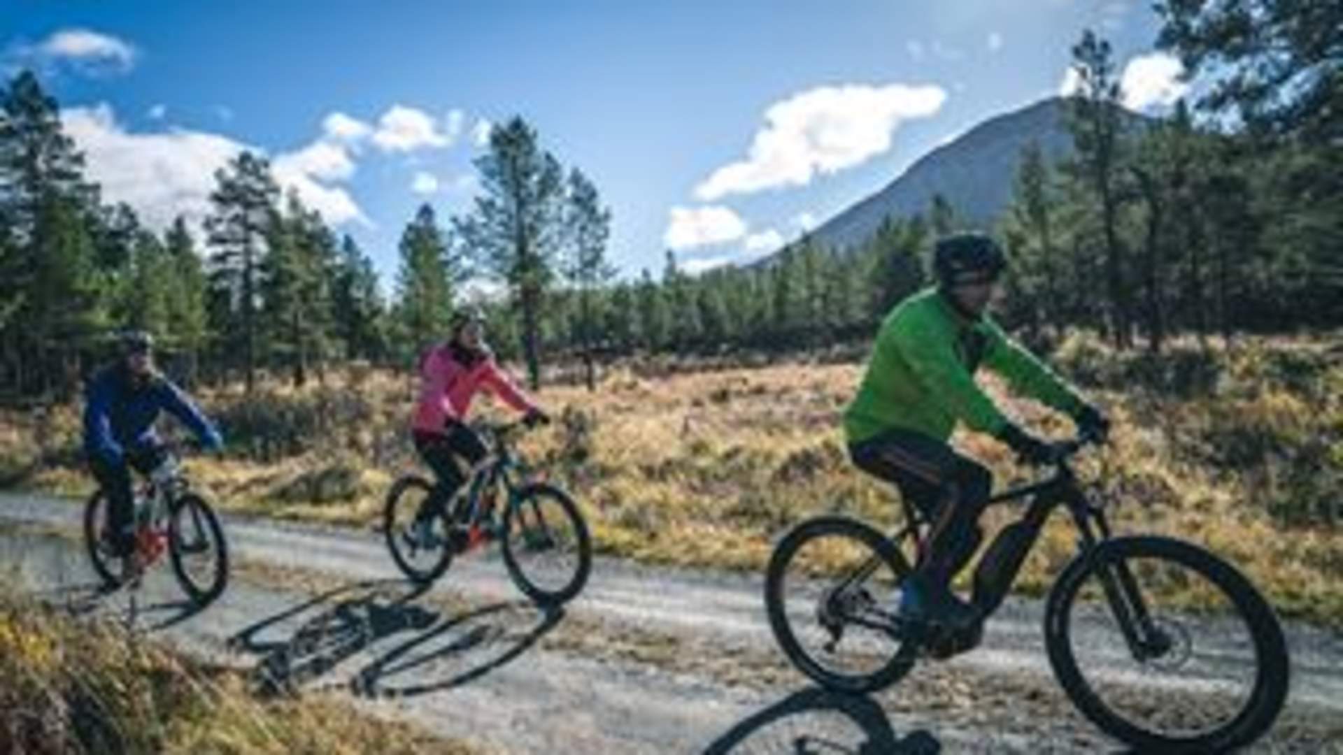 Lemonsjø Fjellstue & Hyttegrend