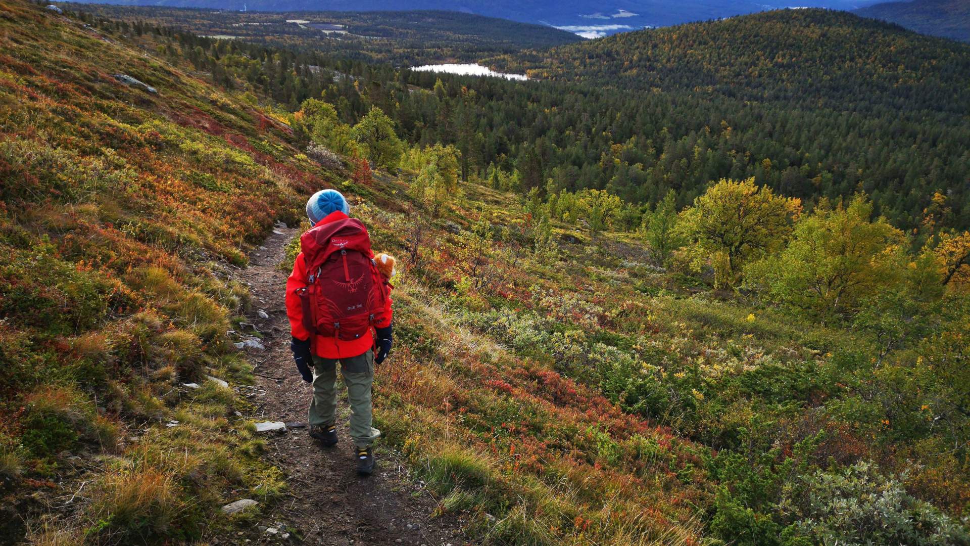 Lemonsjø Fjellstue & Hyttegrend