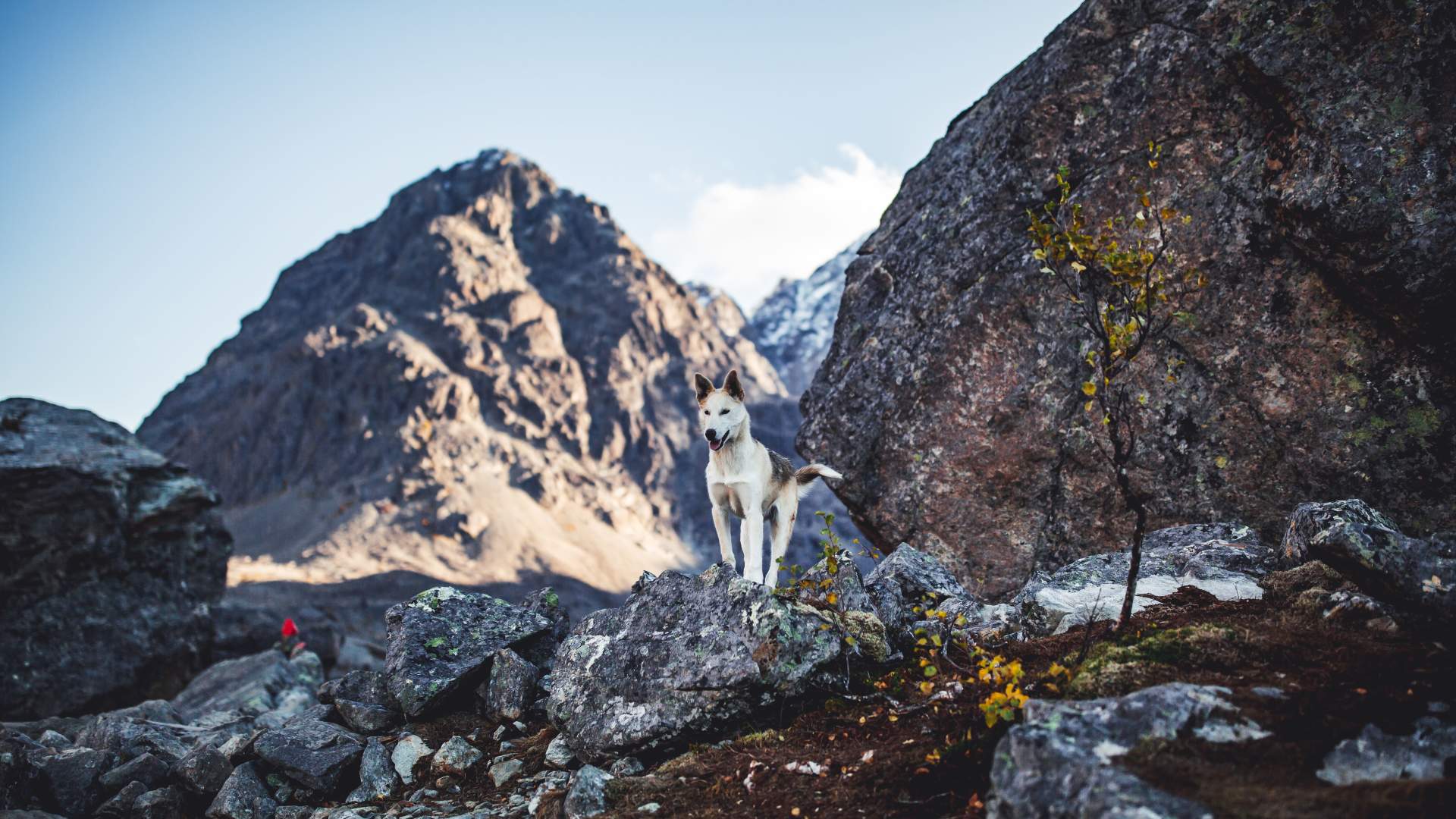 Husky hike in Tamok valley