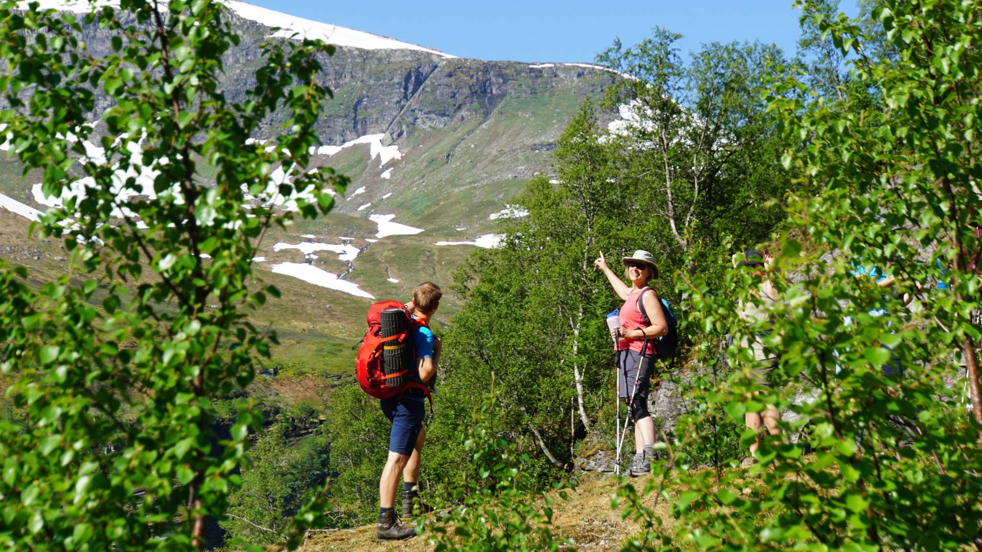 UNESCO Breiskrednosi 1189, Wild Voss