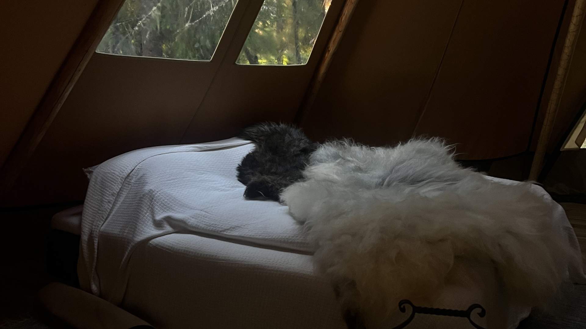 Glamping, Voss