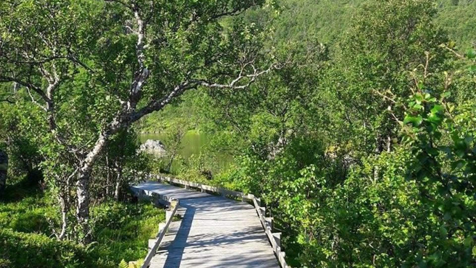 Andøy Friluftssenter