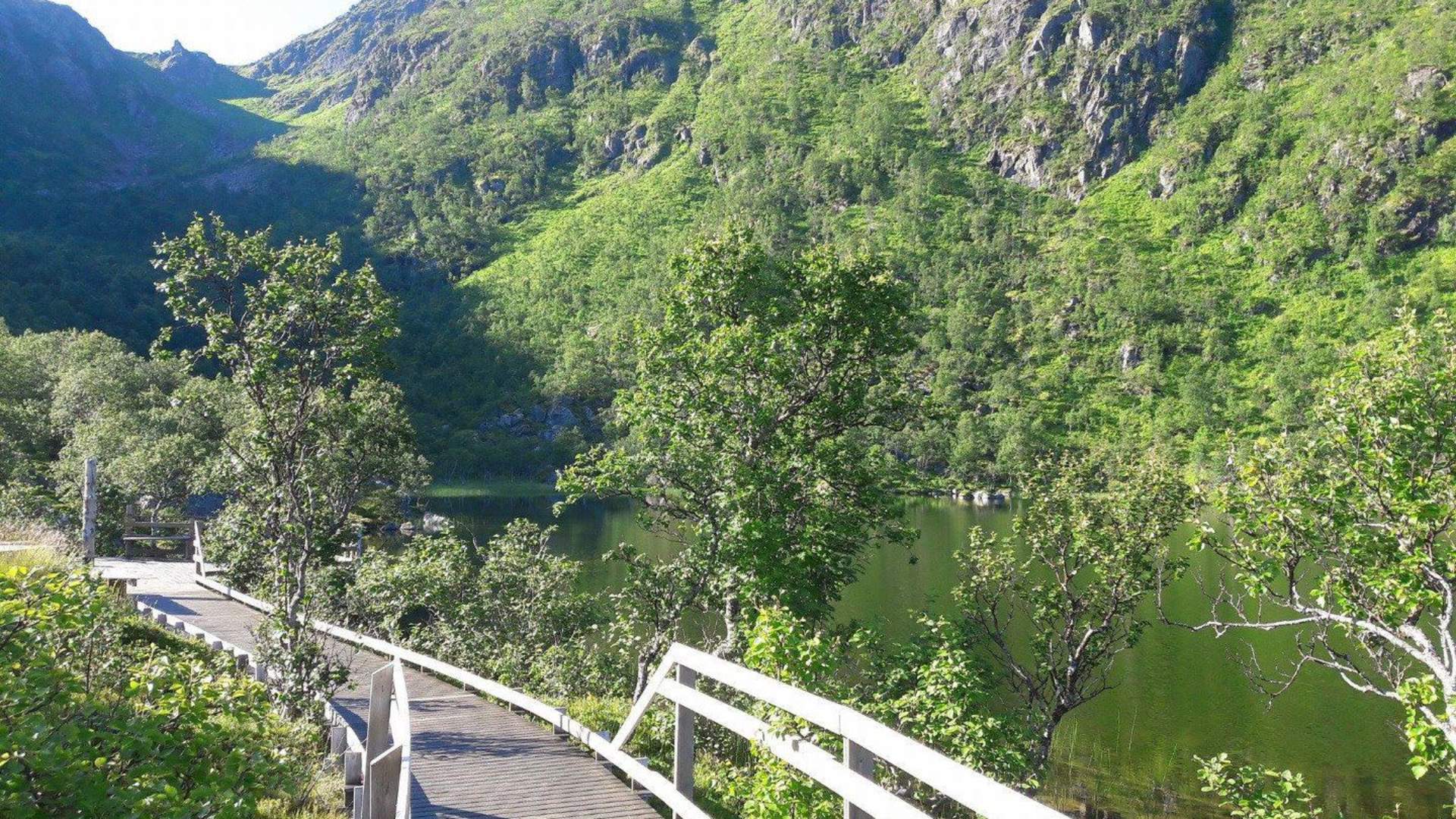 Andøy Friluftssenter