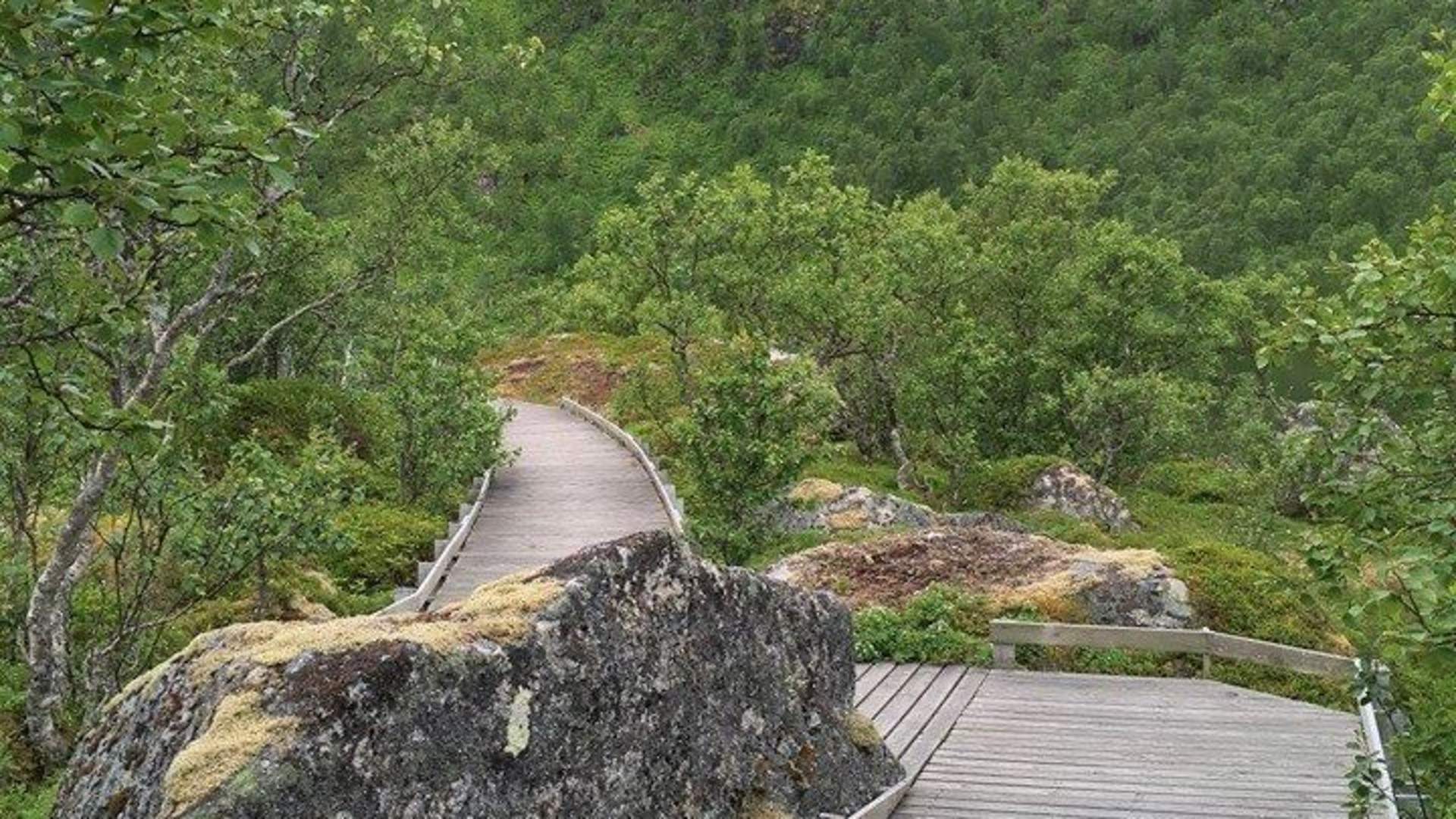 Andøy Friluftssenter