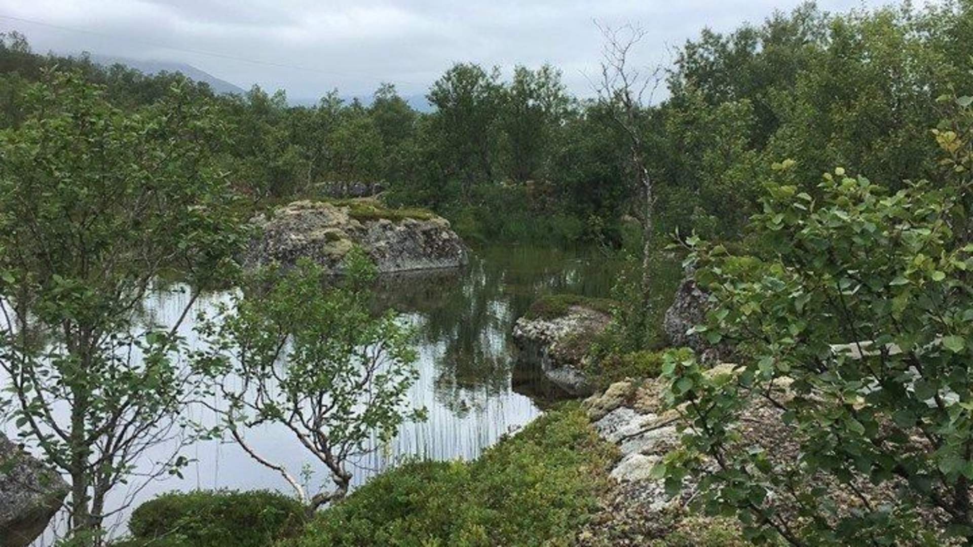 Andøy Friluftssenter