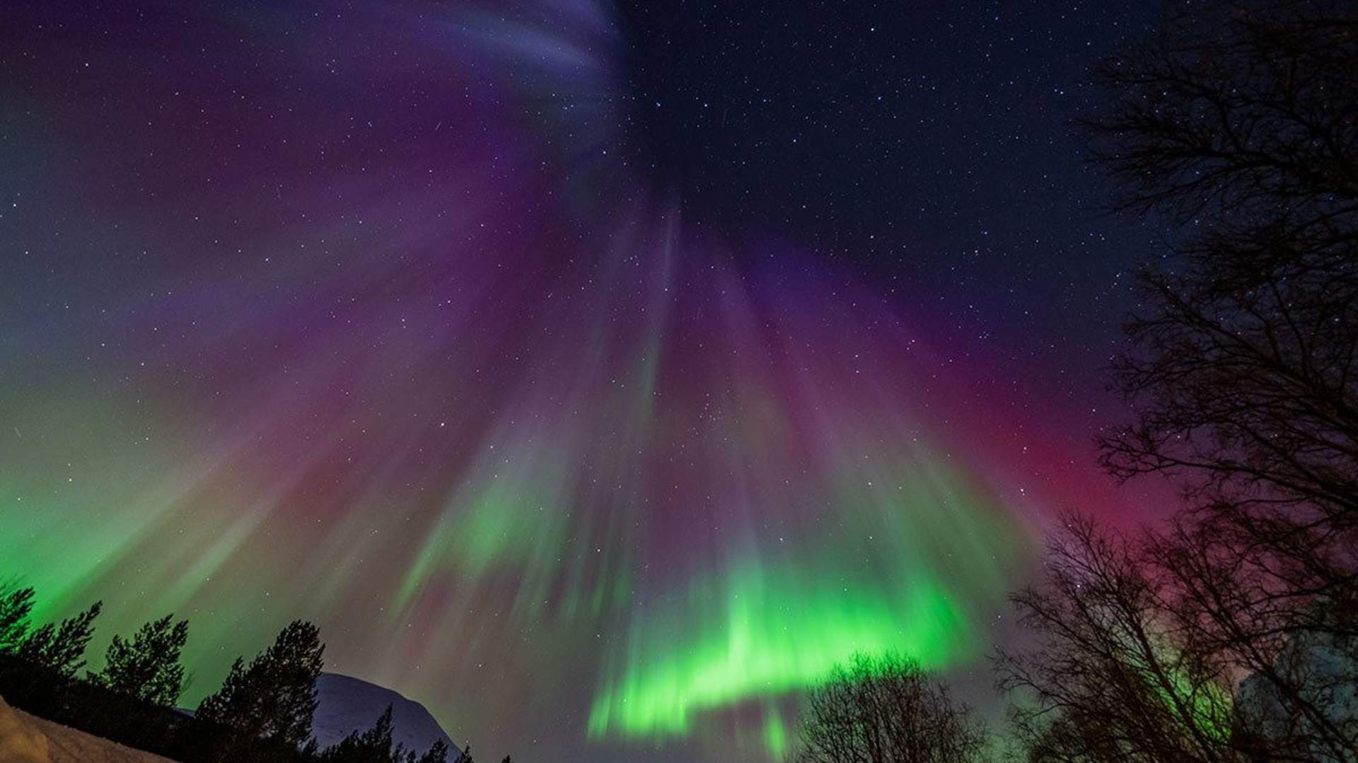 Northern lights chase by minibus