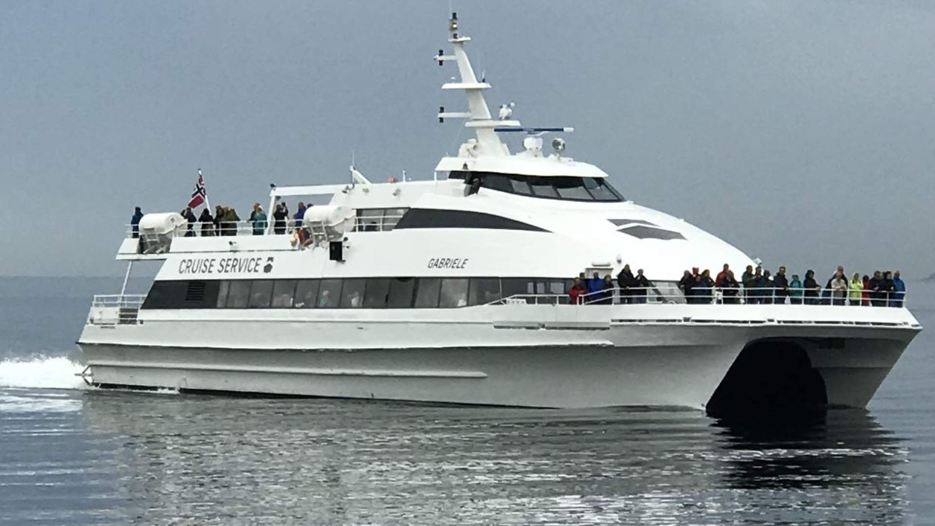 Whale watching by the boat MS Gabriele