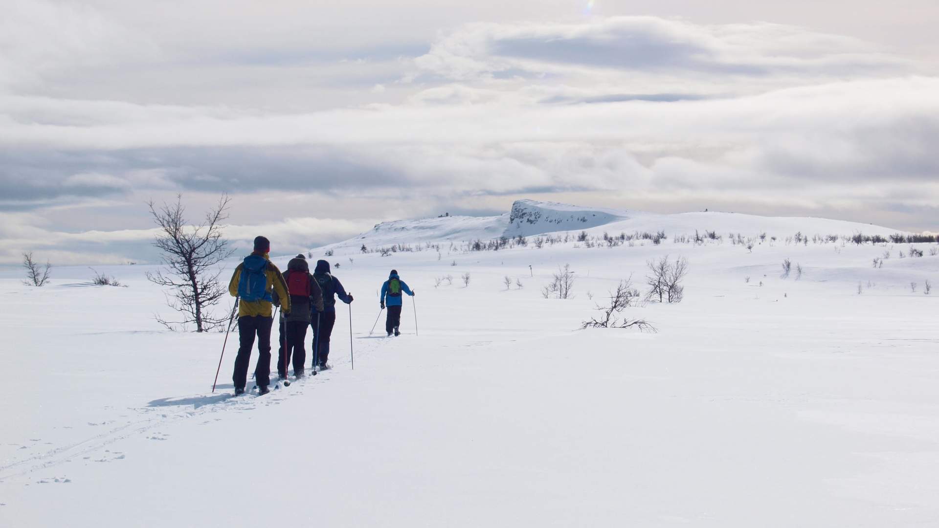 Discover Norway