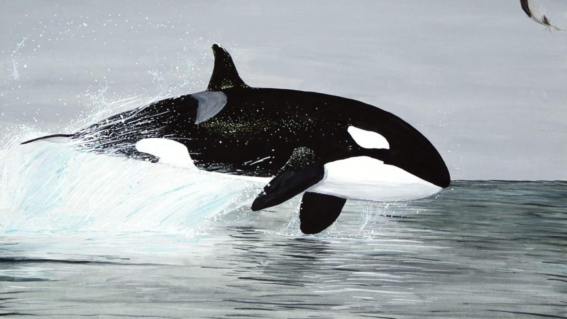 Whaling in Norway