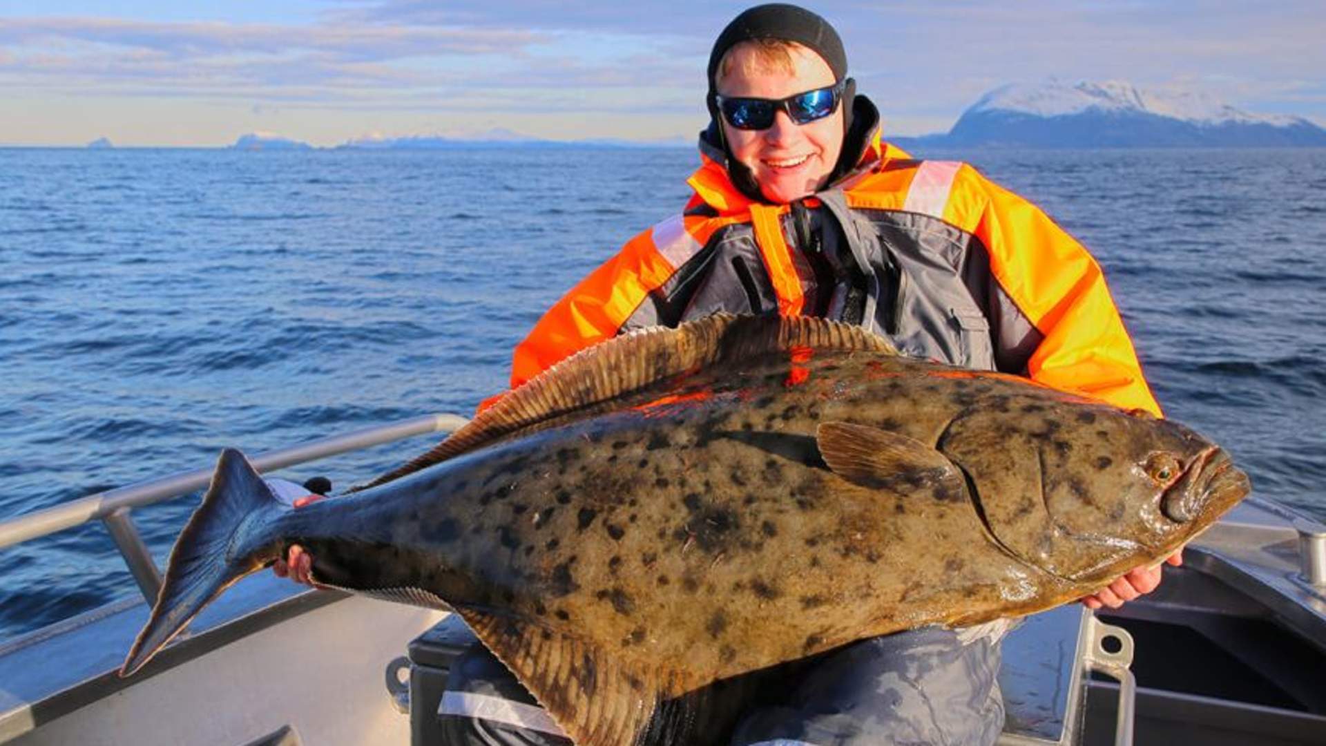 Guided private fishing trips, Sailing & Boat Activities, Kvaløya