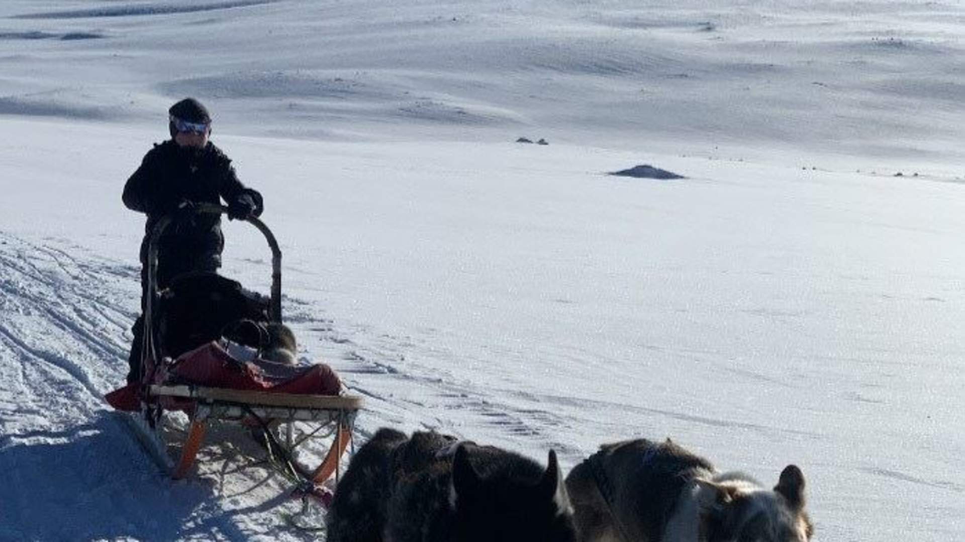 Dogsledding with Kennel Ragnarok Polar