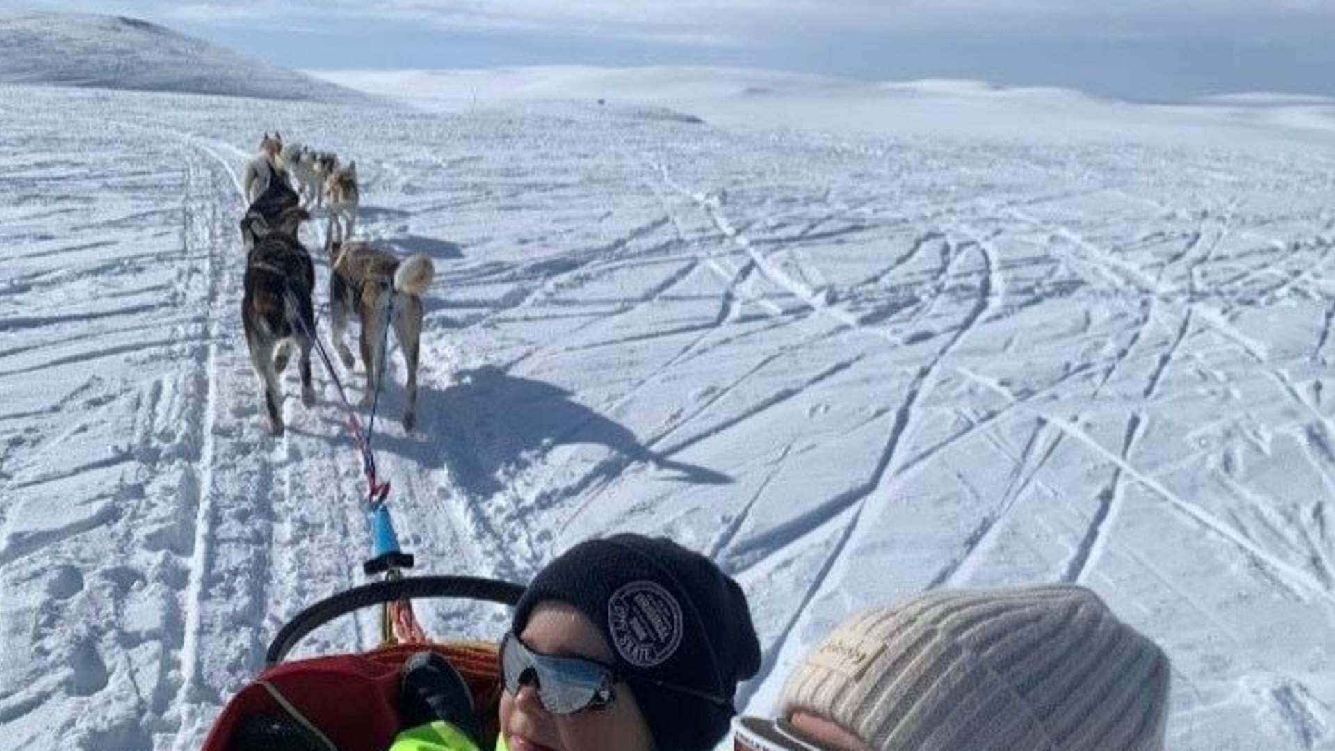 Dogsledding with Kennel Ragnarok Polar