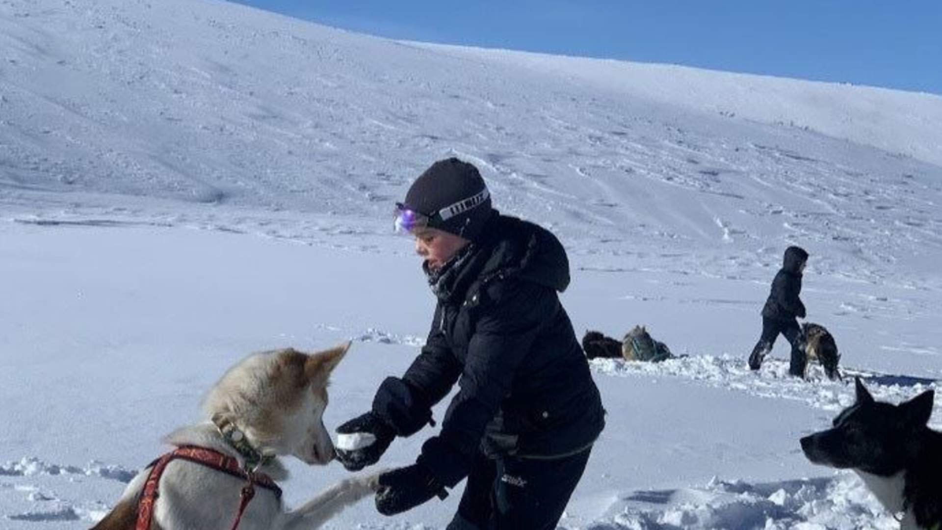 Dogsledding with Kennel Ragnarok Polar