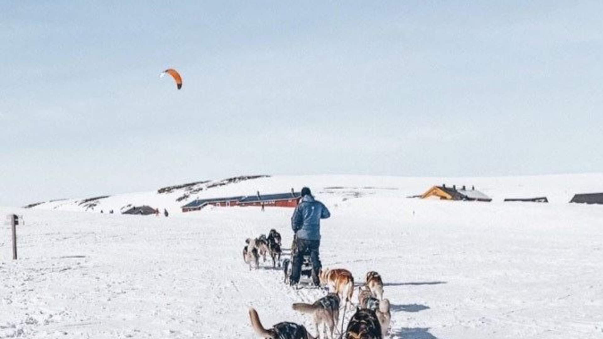 Dogsledding with Kennel Ragnarok Polar