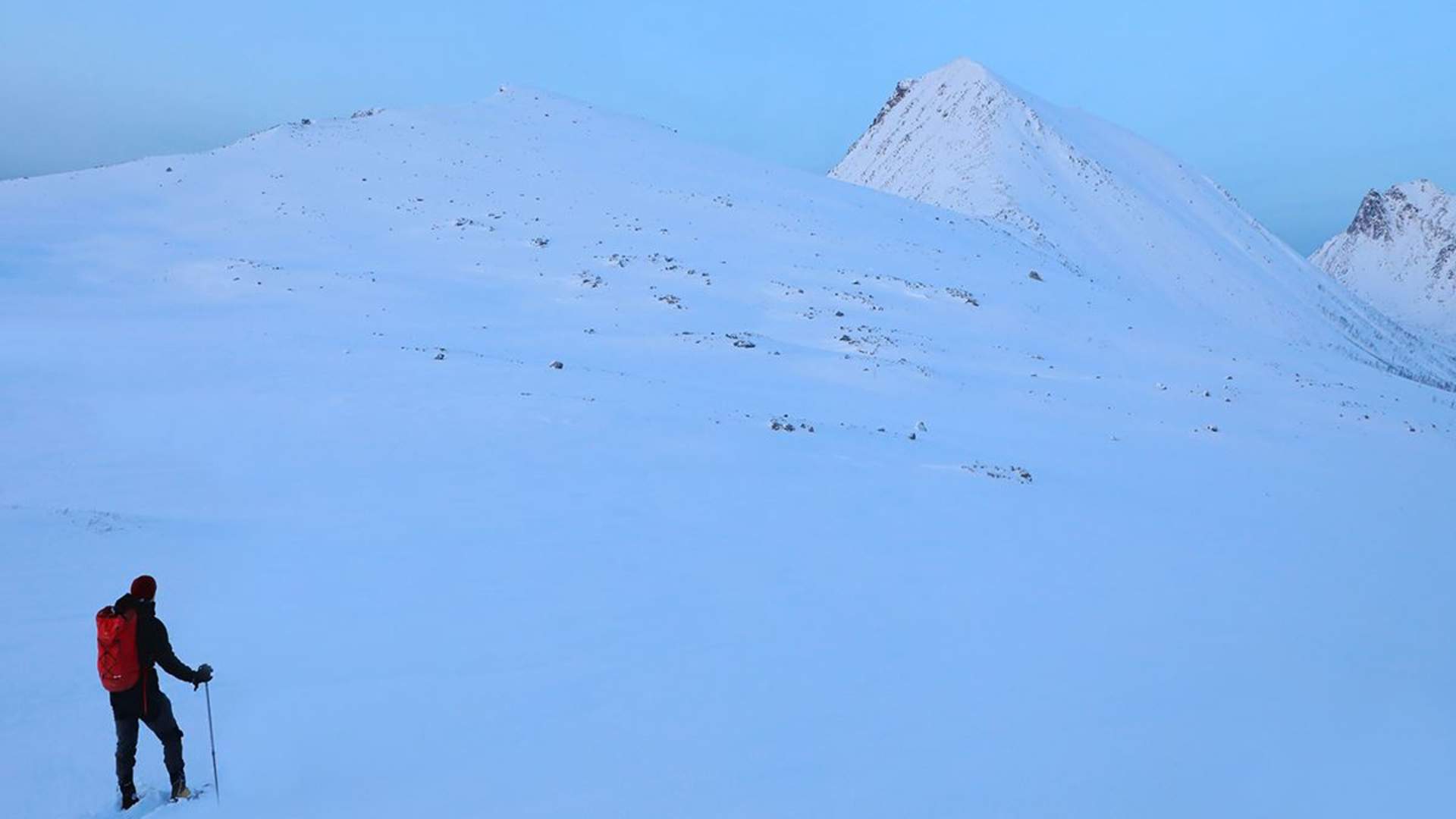 Private snowshoe trip